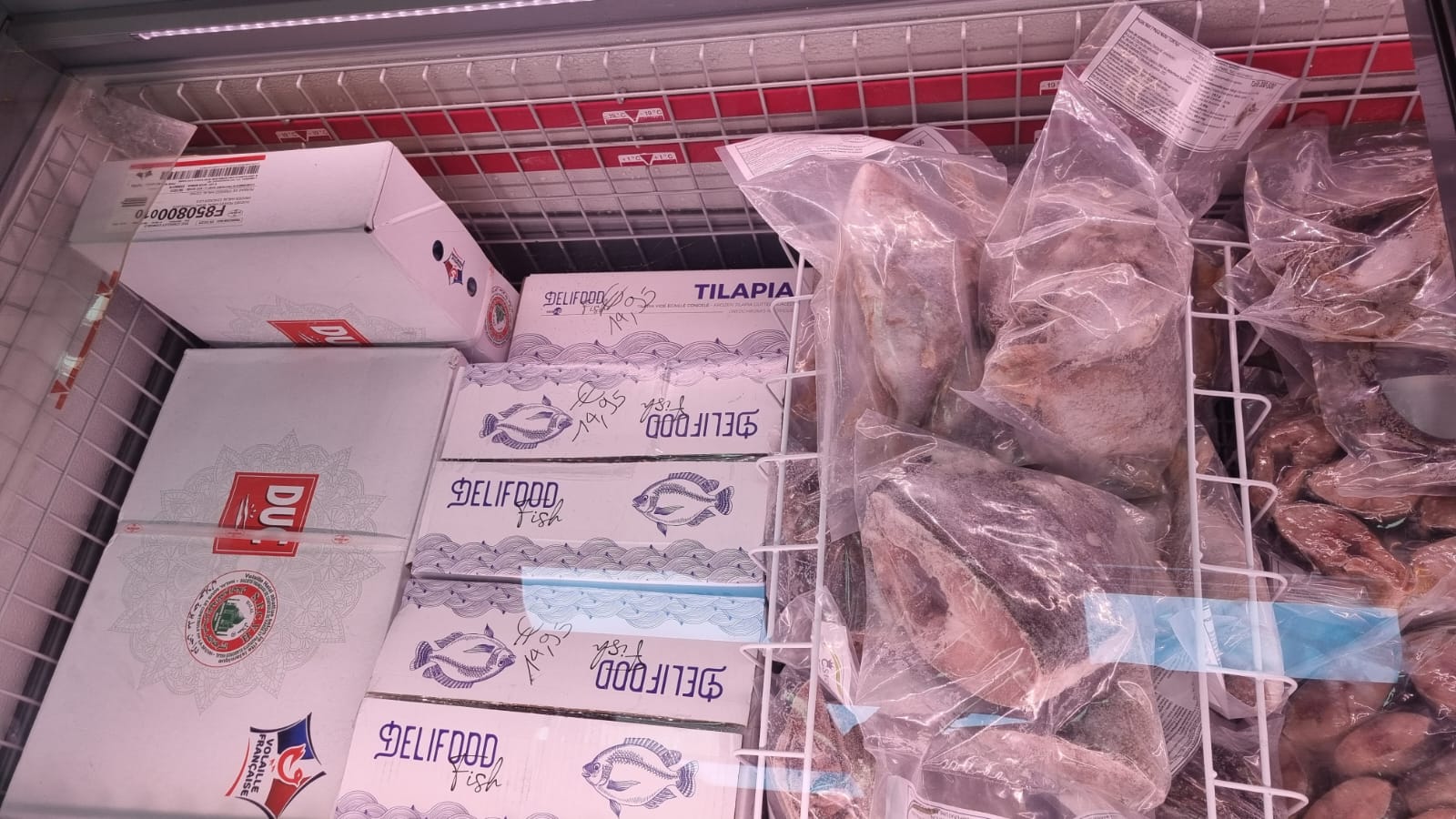 selva market _3_.jpg