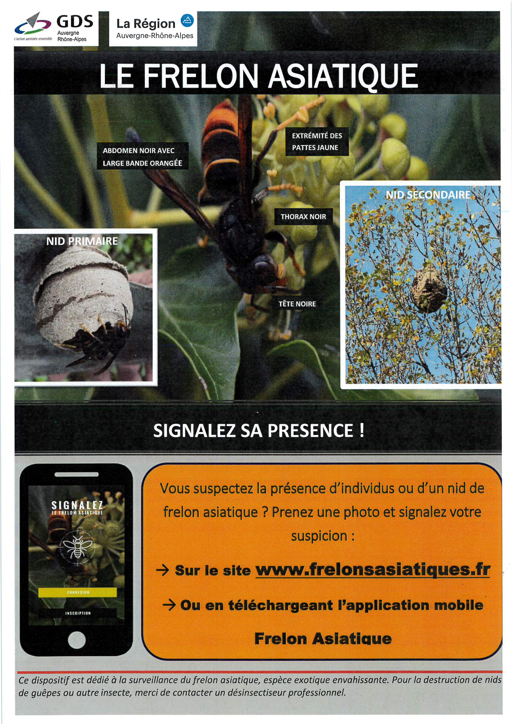 FRELON ASIATIQUE_AFFICHE.jpg