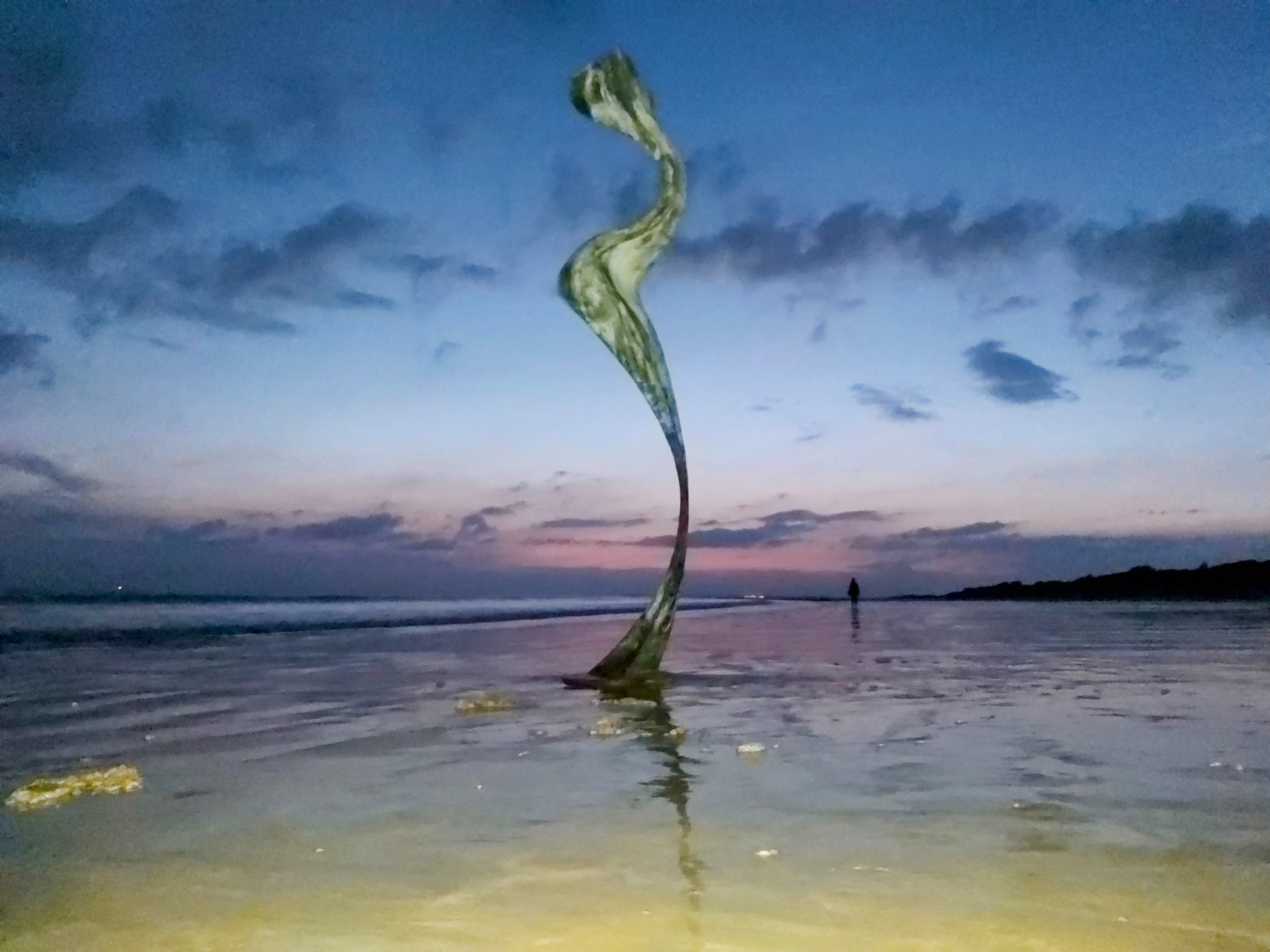 Arnaud Schneider.jpg