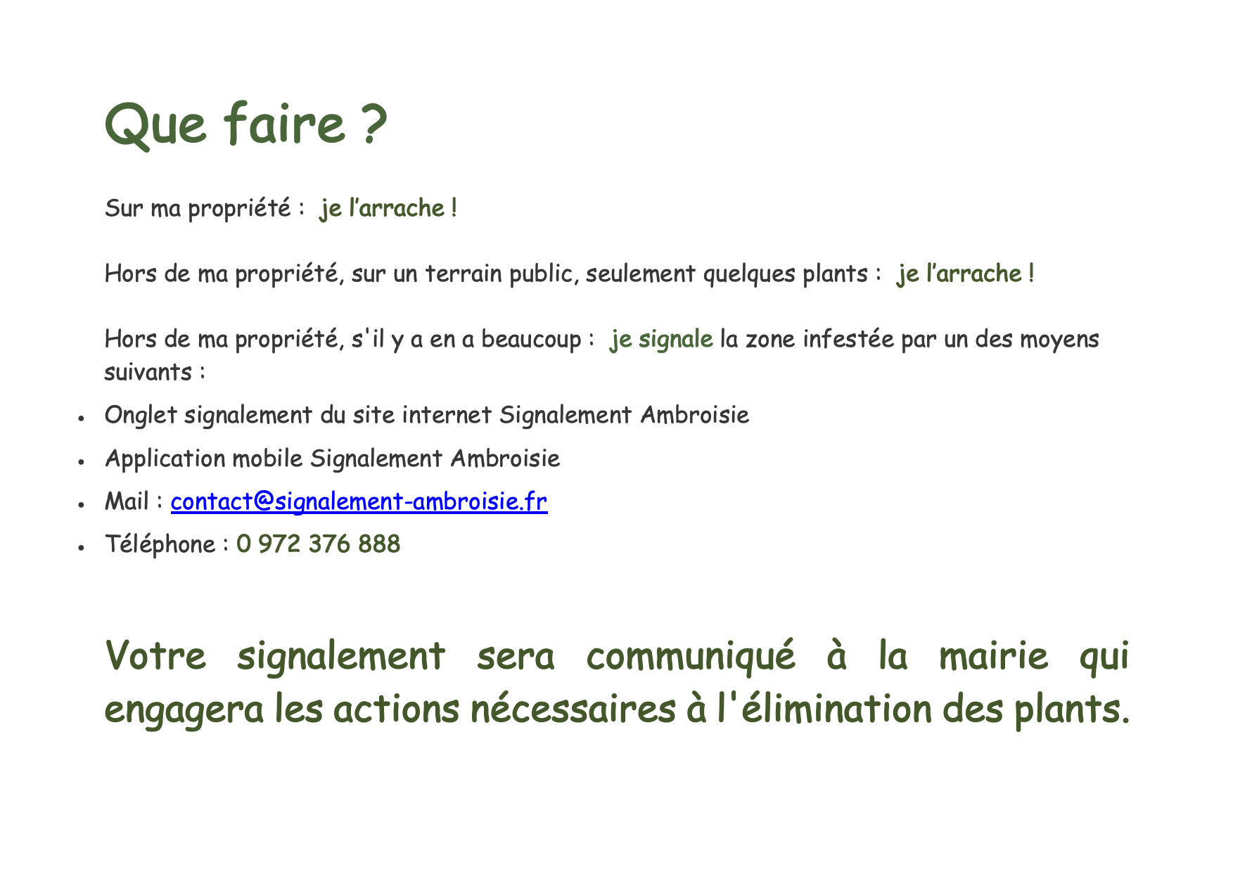Que faire contre l_ambroisie - copie.png