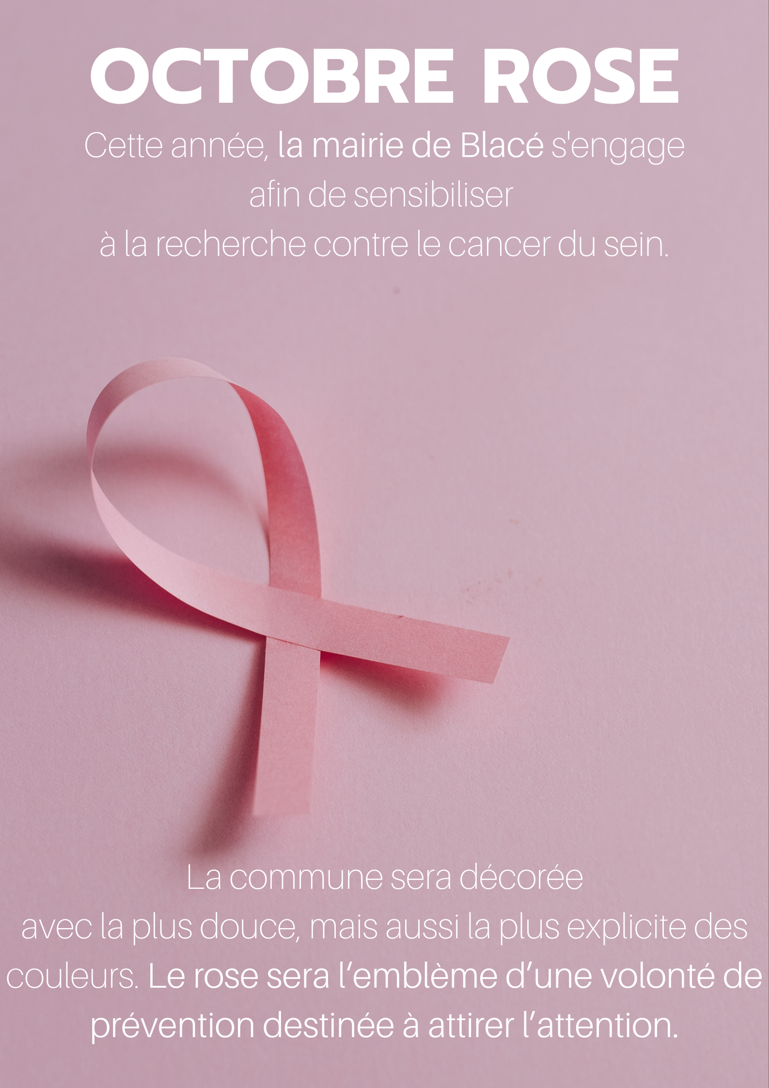 Octobre rose 2.png