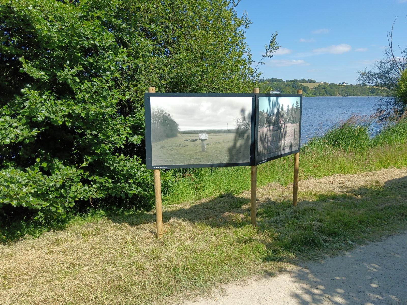 bc896b0c-8155-45ef-aa83-ca0ab00ef3501.jpg