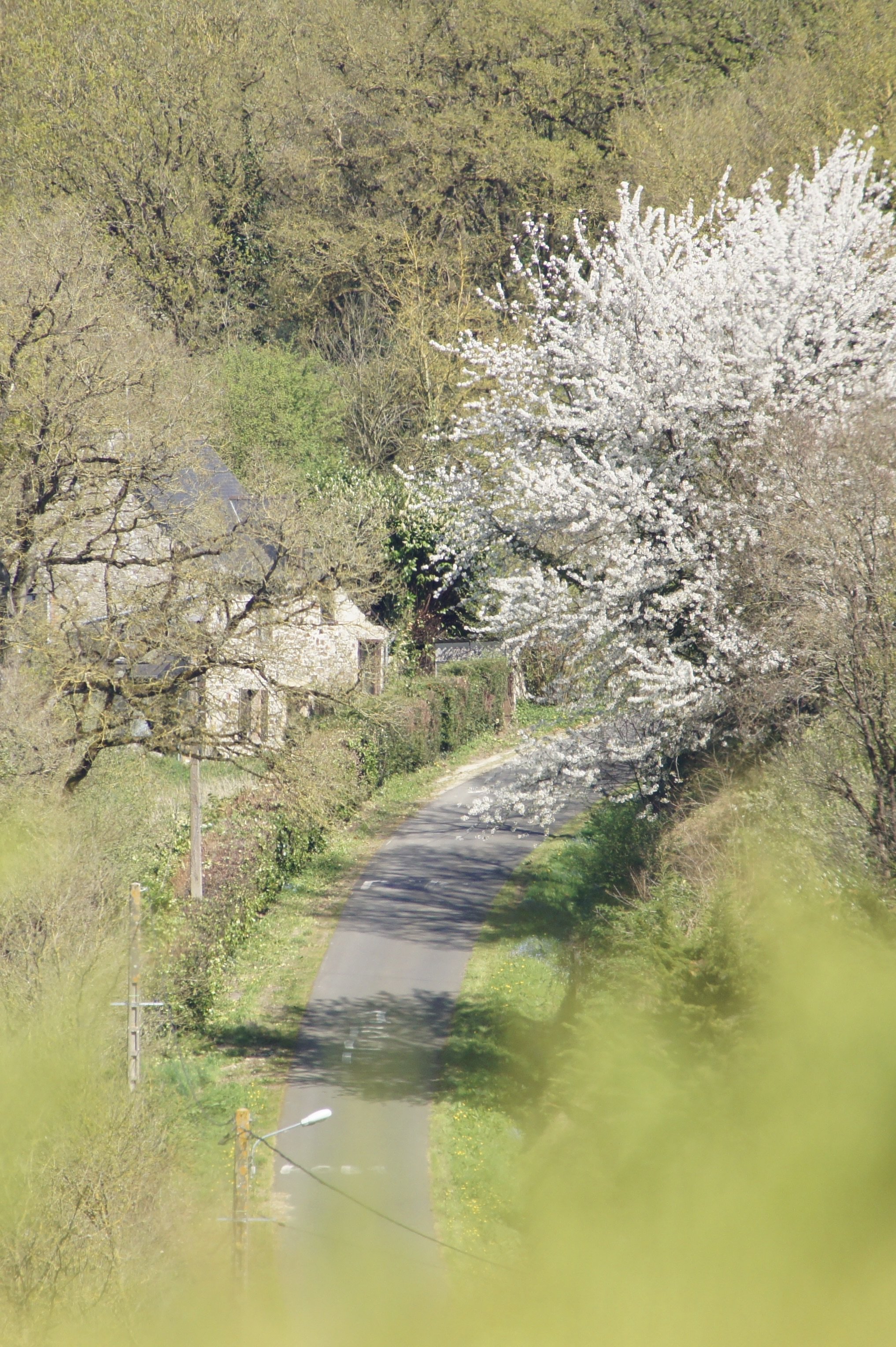 4-la vallee verte