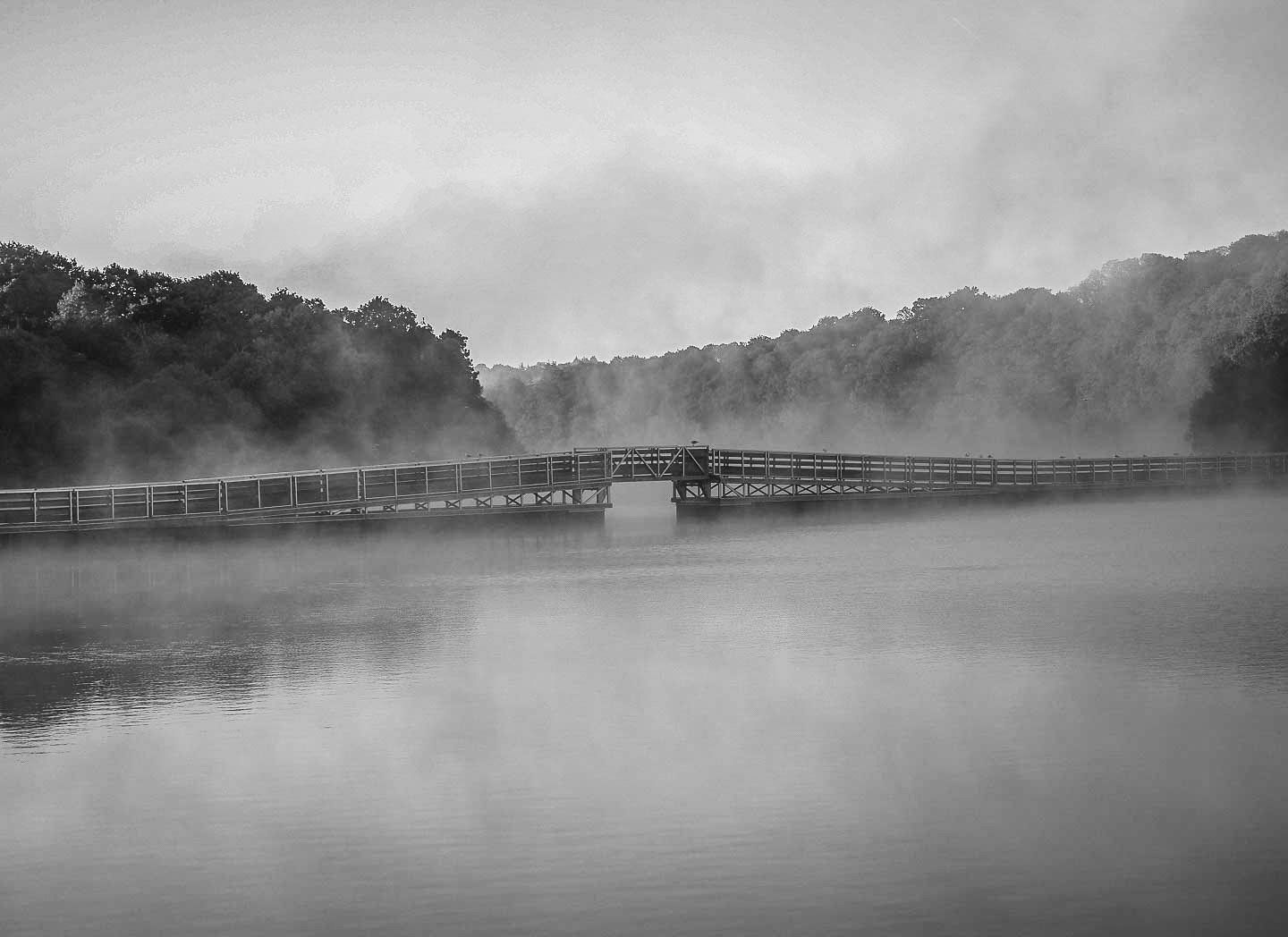 7-la passerelle
