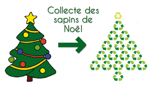 sapin.png