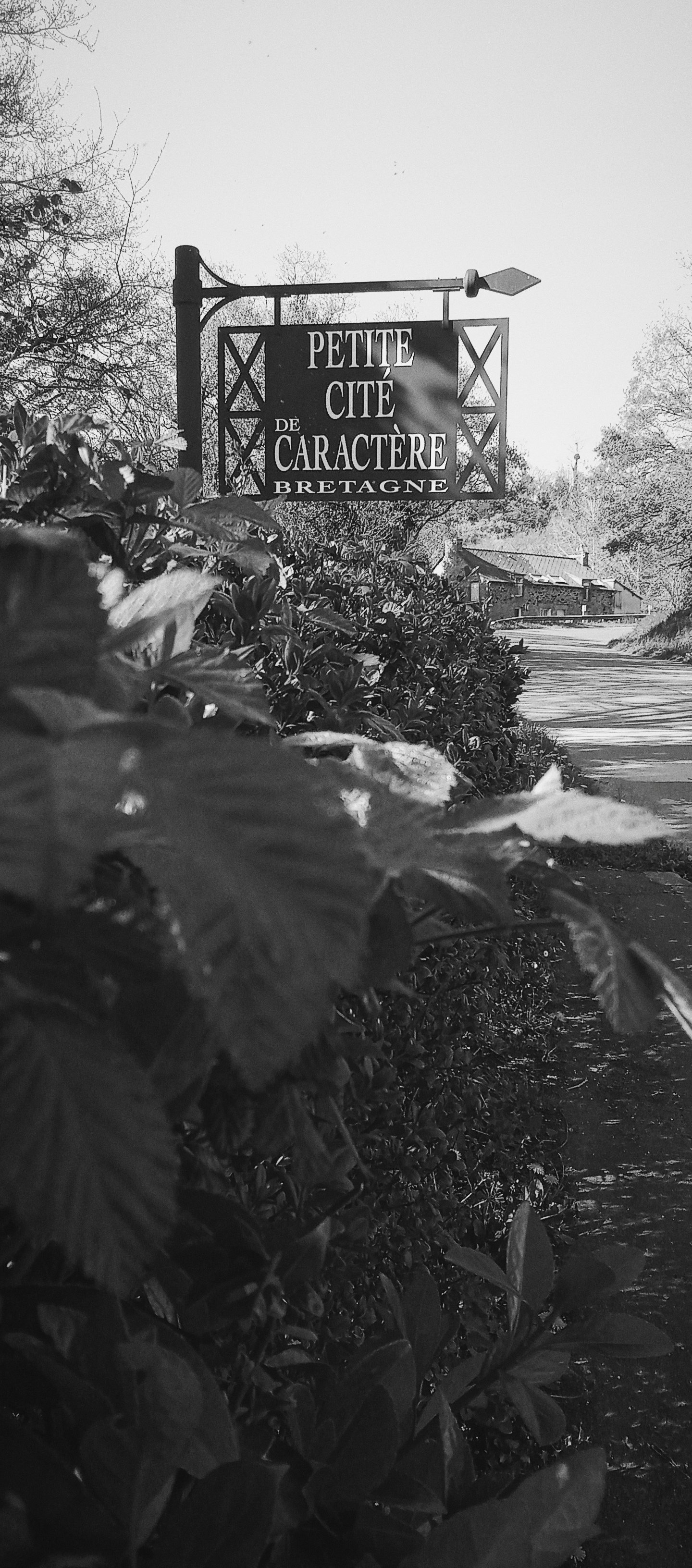 2-Entrée de Jugon-Les-Lacs, côté Dinan