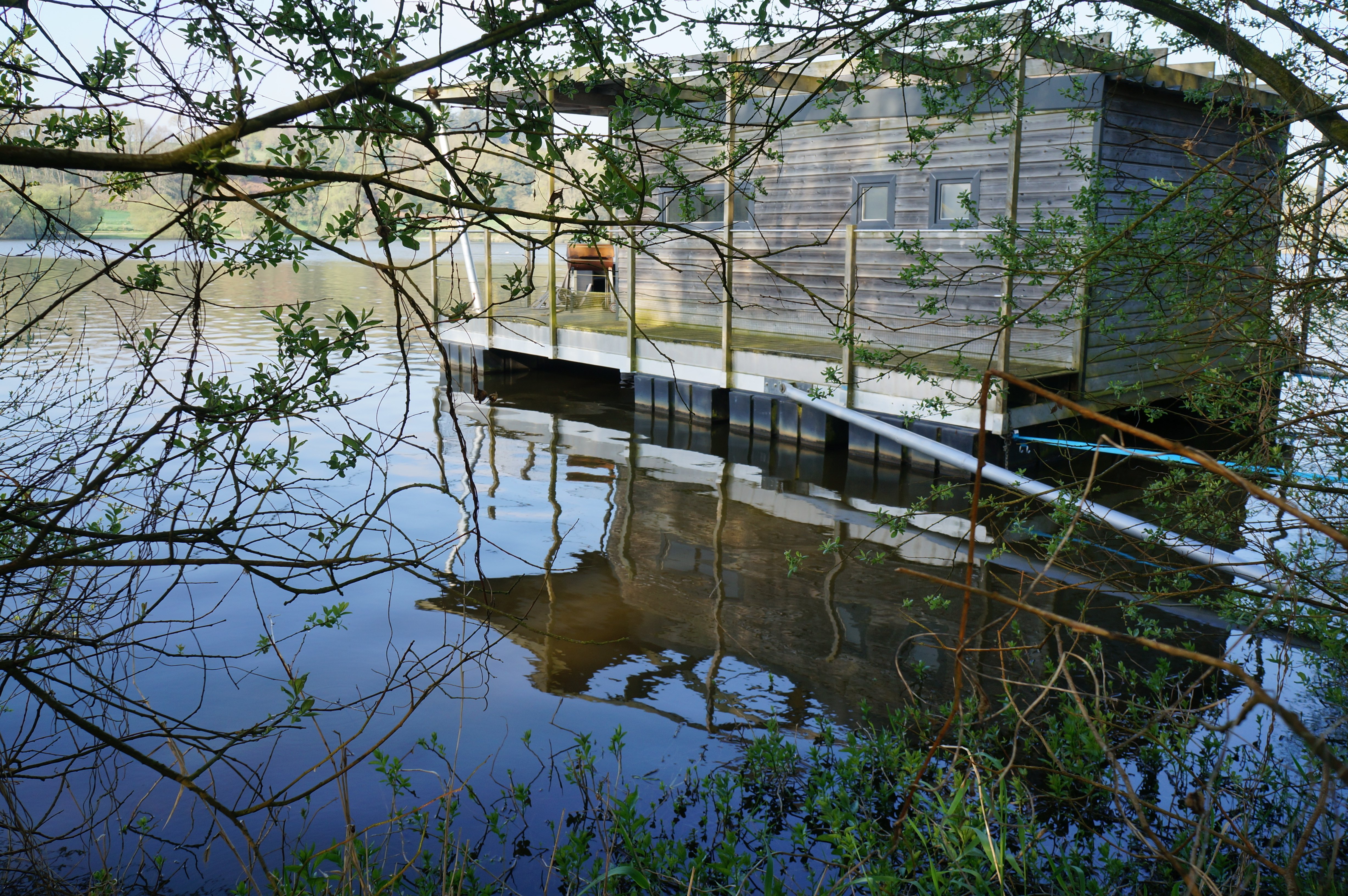 2-un moment paisible