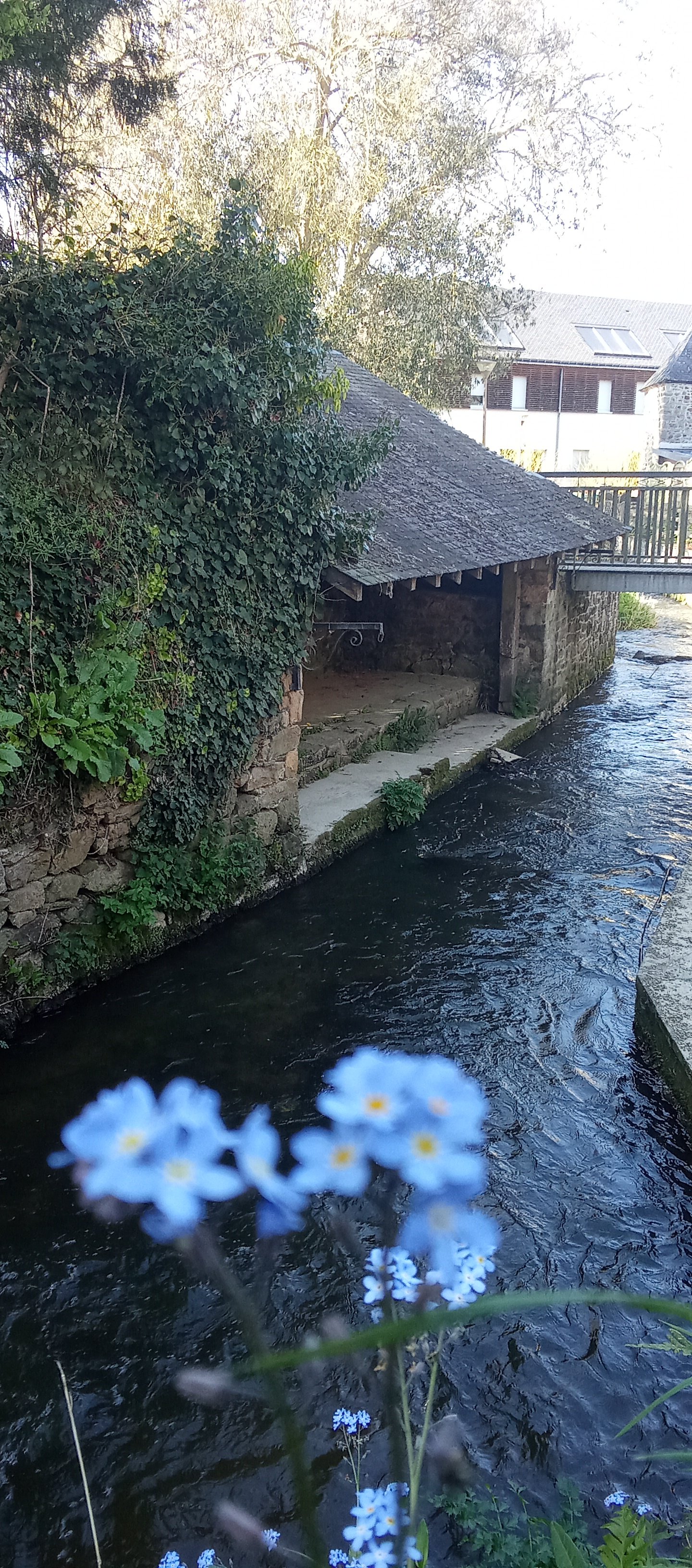 6-Le lavoir, rue du four