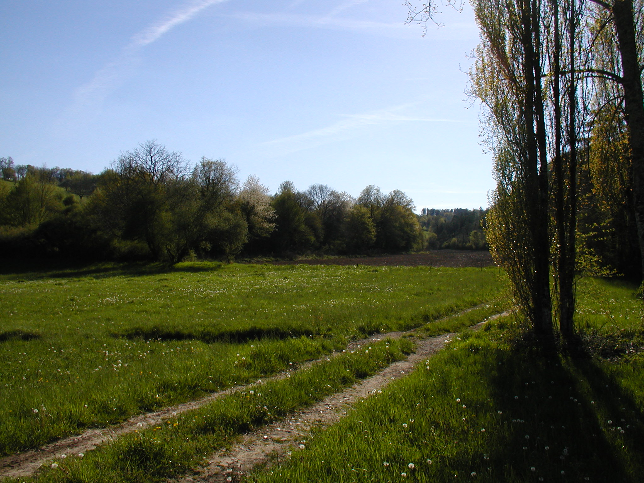 Chemin Bars.jpg