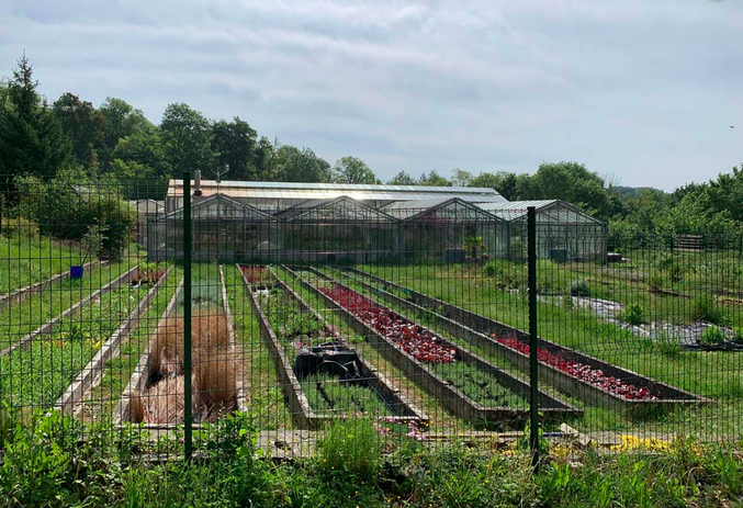 Capture d’écran 2020-11-19 à 16.12.05.png