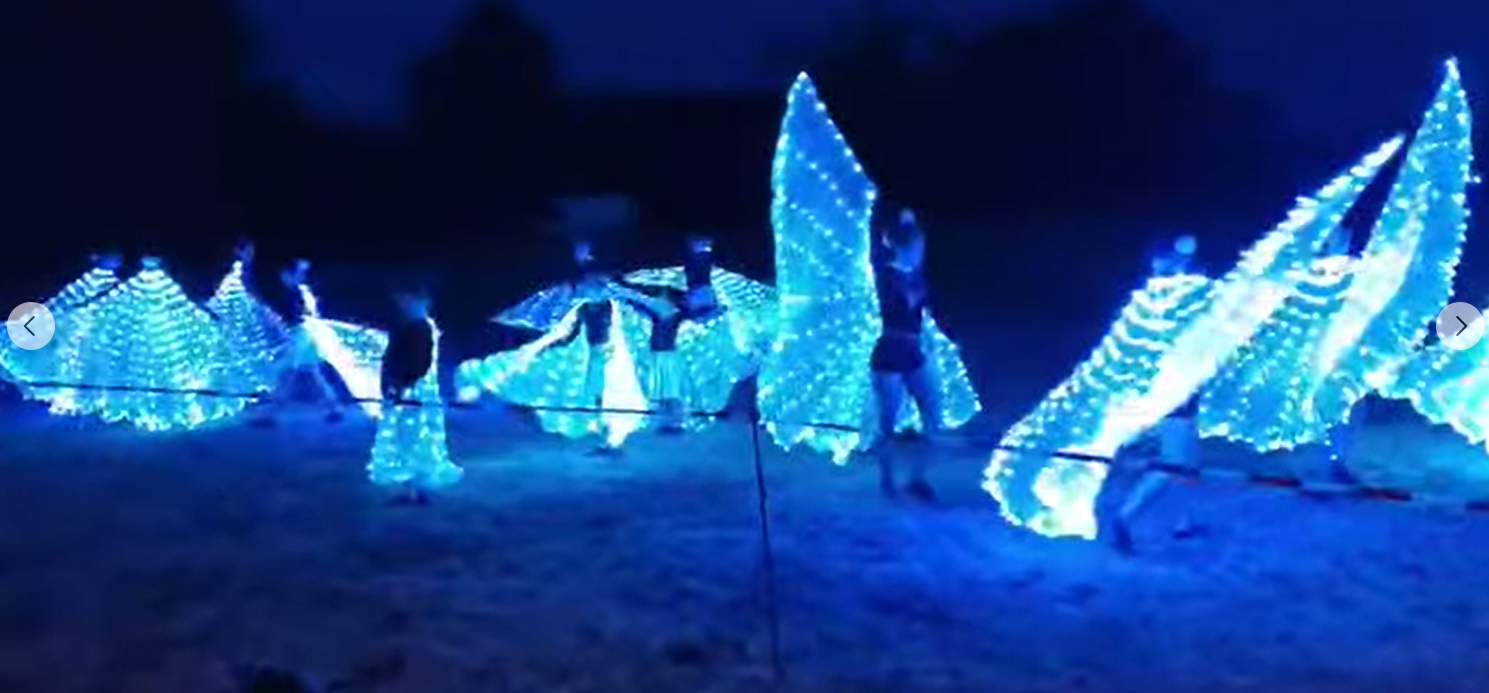 Capture d’écran 2025-07-22 164558.png