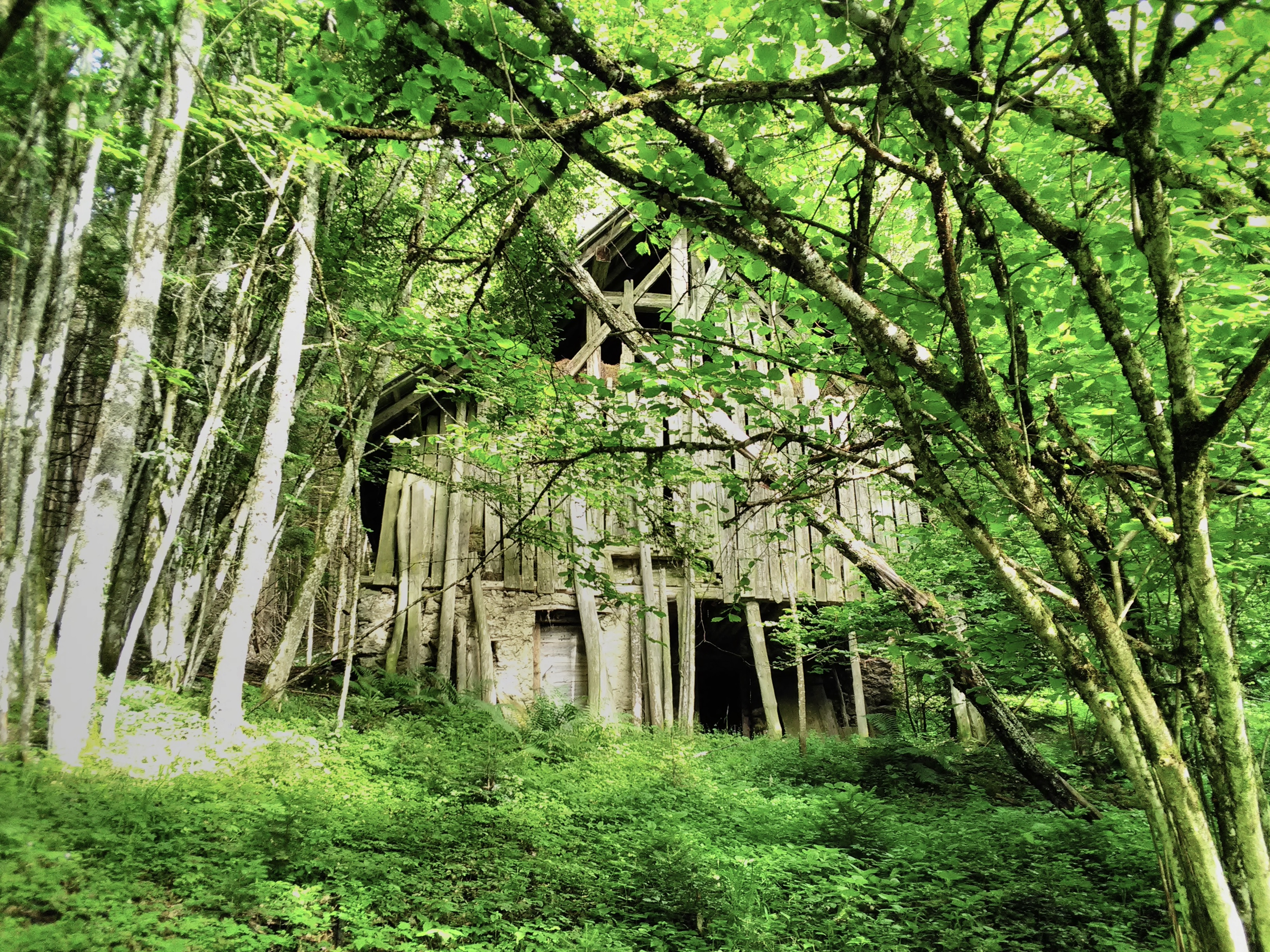 Moine-Le Chêne grange abandonnée.jpeg