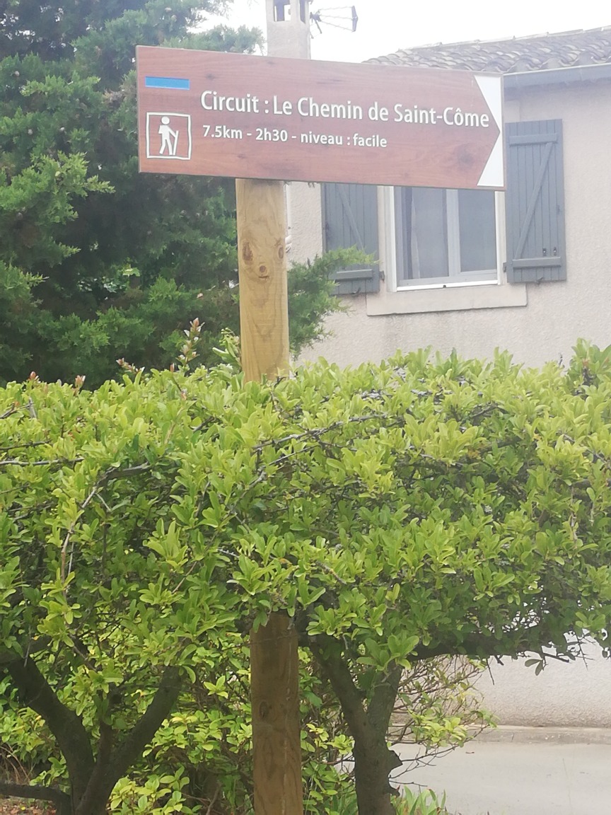 16-IMG_20210706_115414_resized_20210706_115502410 _1_.jpg