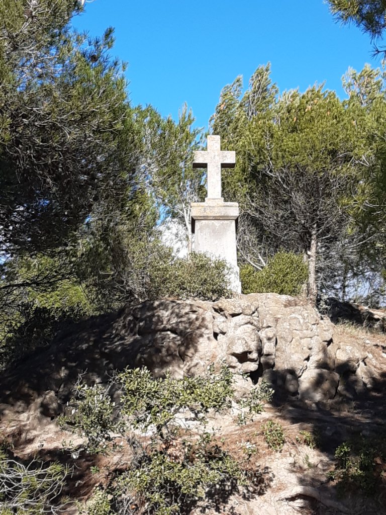 23-20210115_11493716- _1_.jpg