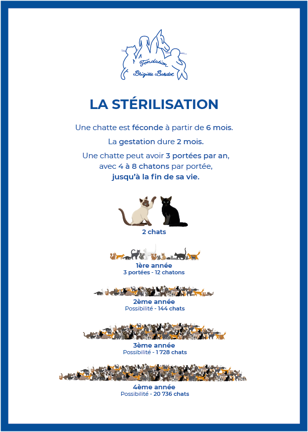 campagne stérilisation des chats.png