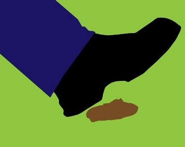 dejections animaux.jpg