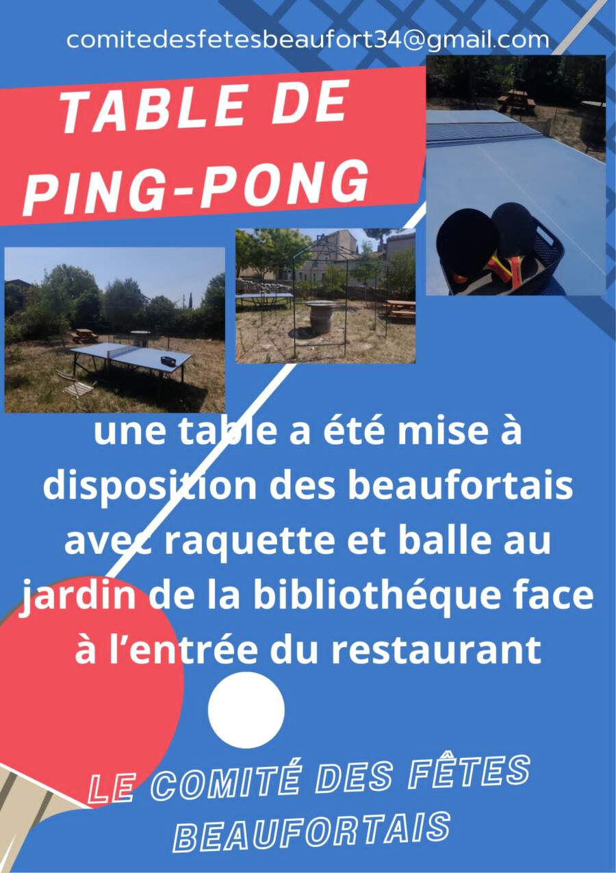 table de ping-pong.jpeg