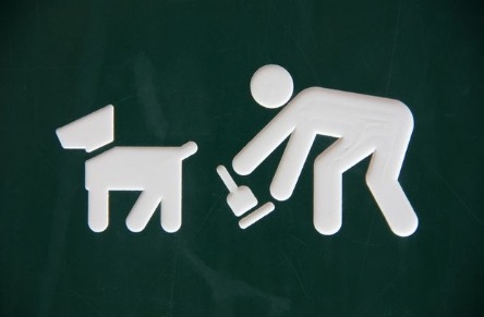 dejections animaux 2.jpg