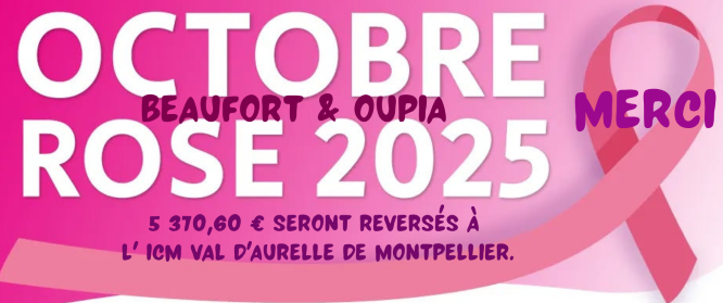 Resultat octobre rose 2025.png