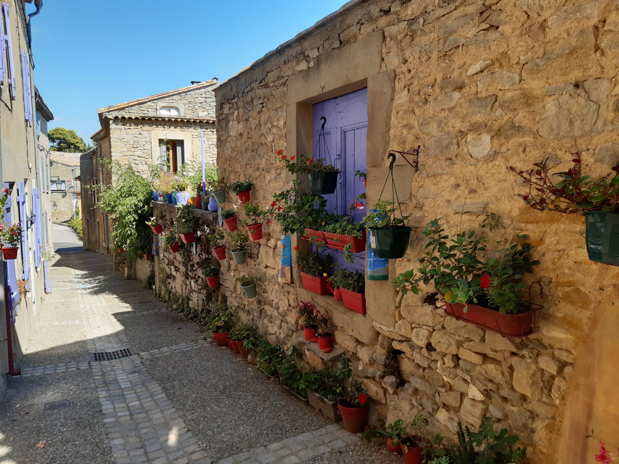 19-Rue Bombecul fleurie _1_.jpg