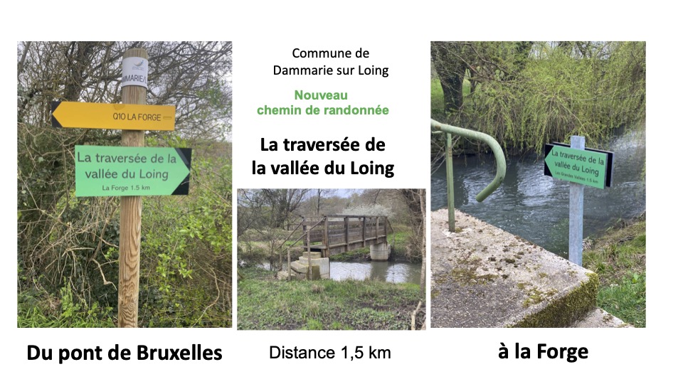 Dammarie-sur-Loing - Nouveau ch emin de randonnée-1773758014.jpg