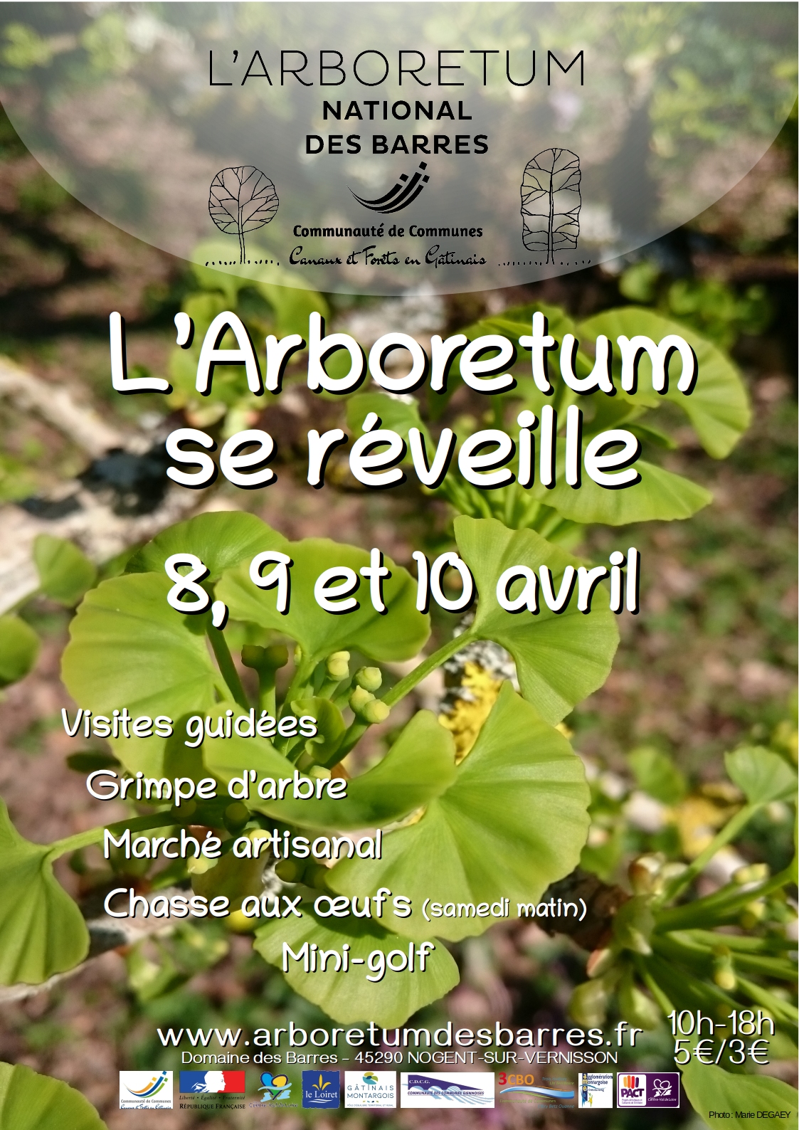 AfficheSeRéveille_4034_.jpg