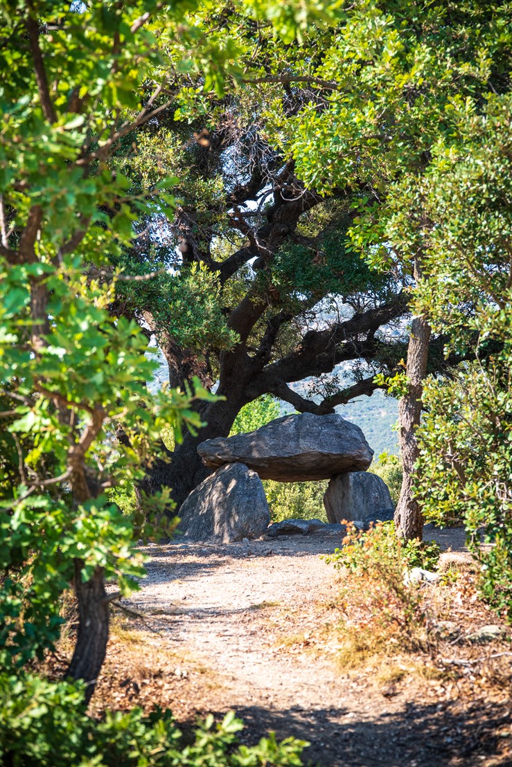 Dolmen Coulombinos.jpg