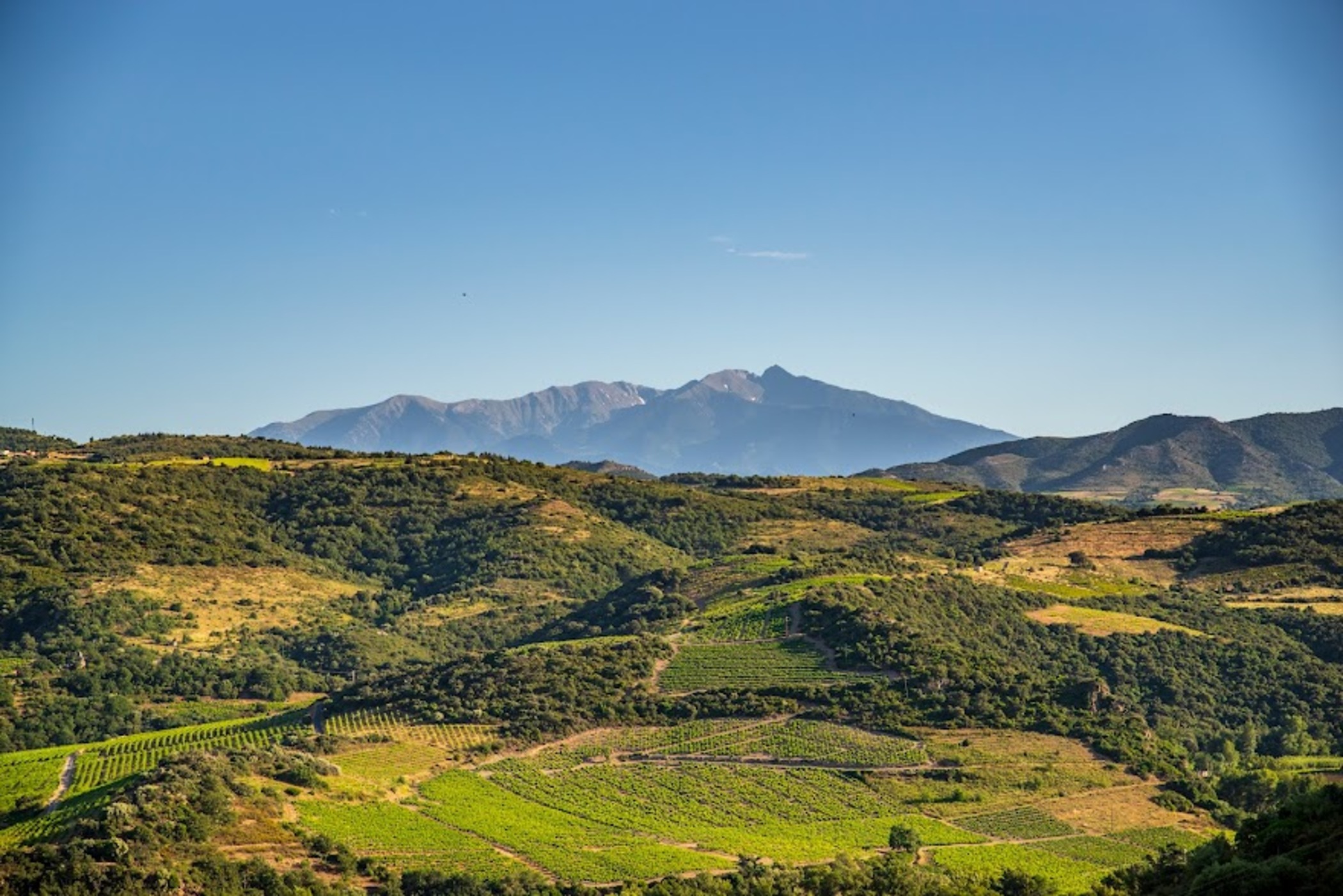 Planèzes Printemps-102.jpg