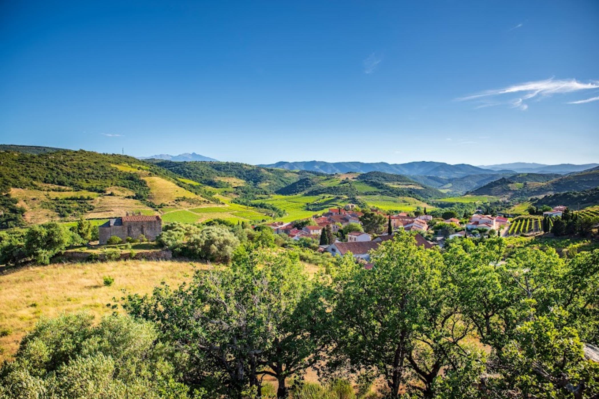 Planèzes Printemps-095.jpg