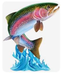 Logo AAPPMA.png