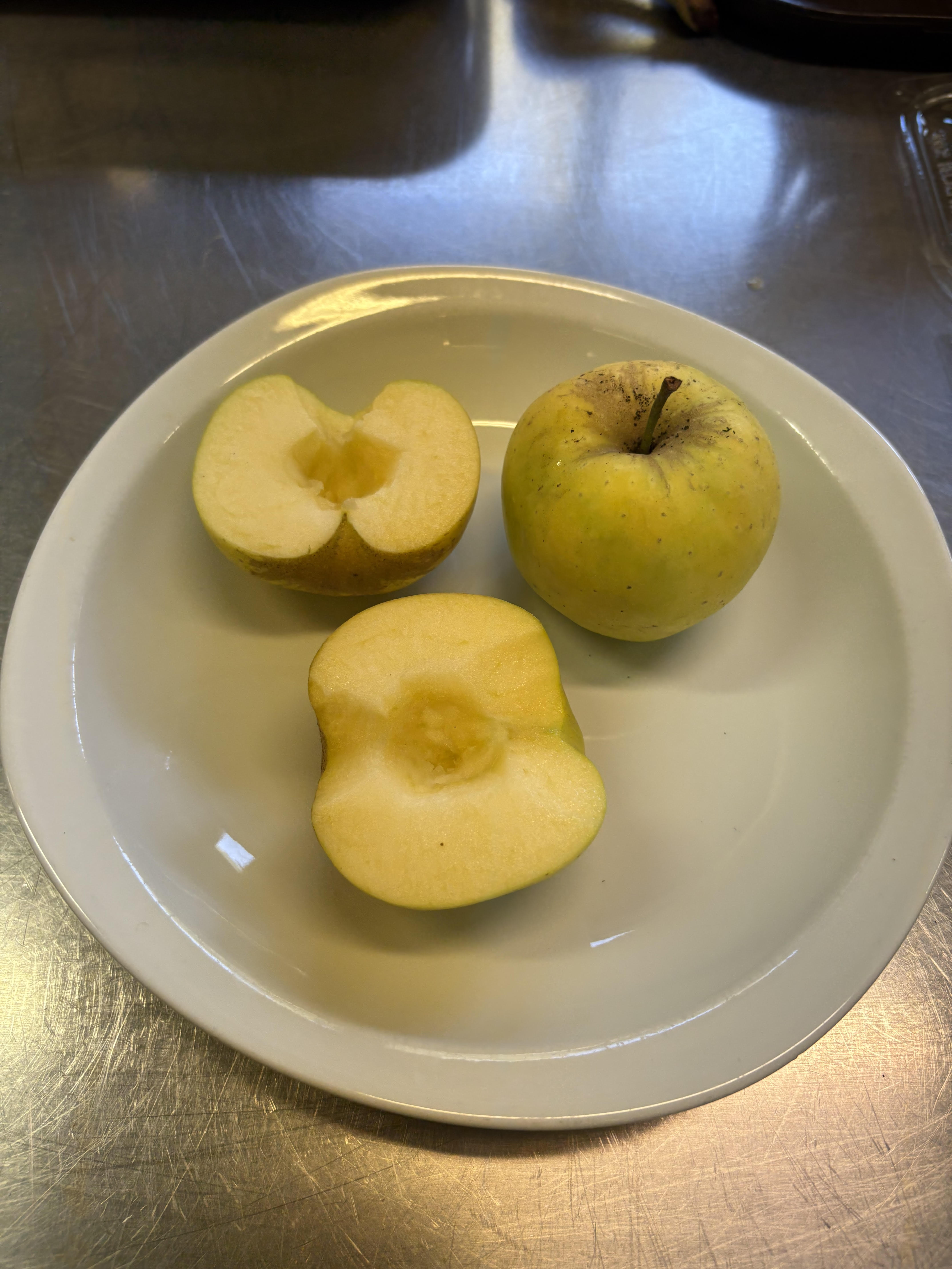 photo menu cantine.jpg