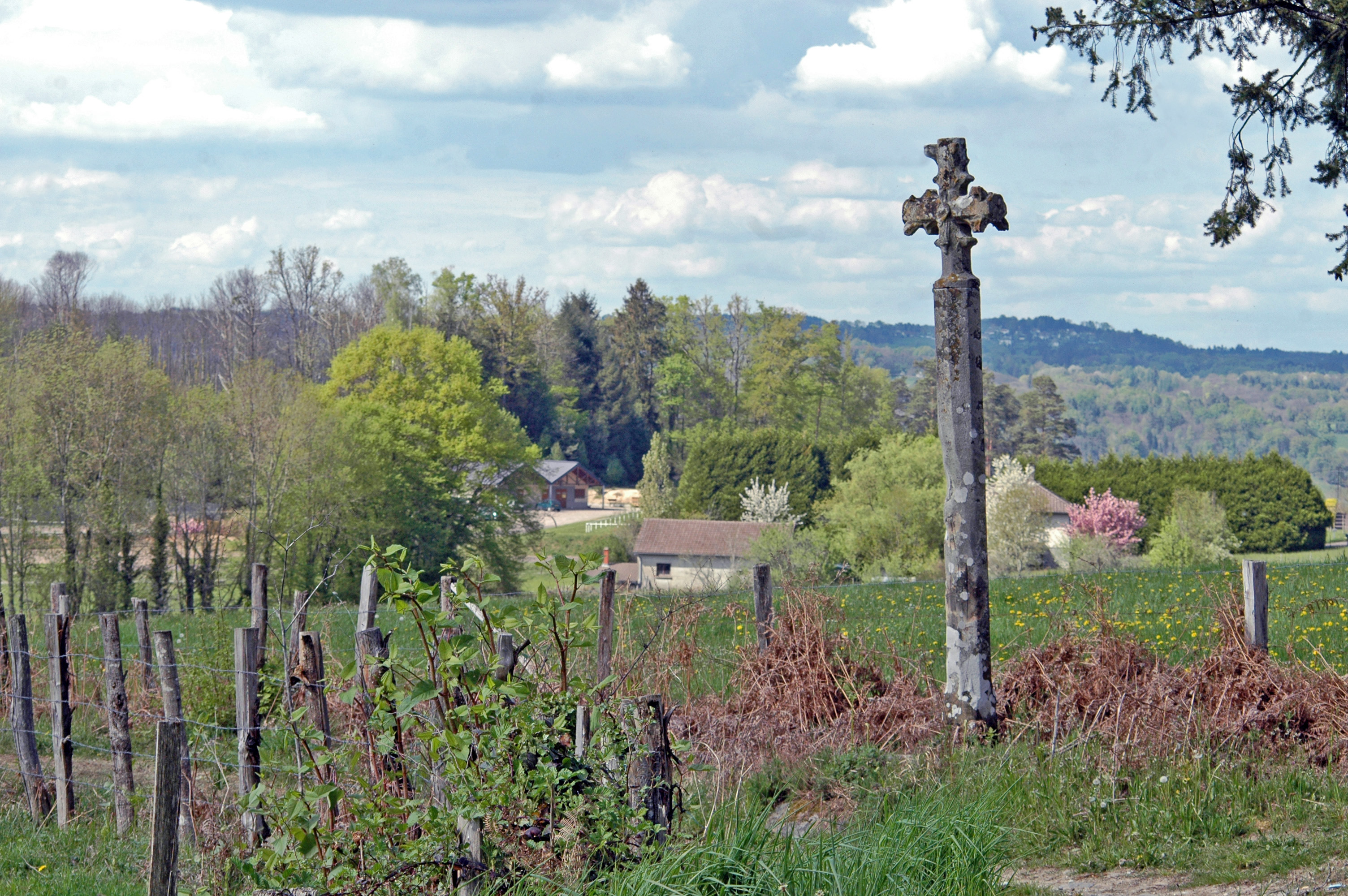 2010.04.25 DSC_0493 modifiée.jpg