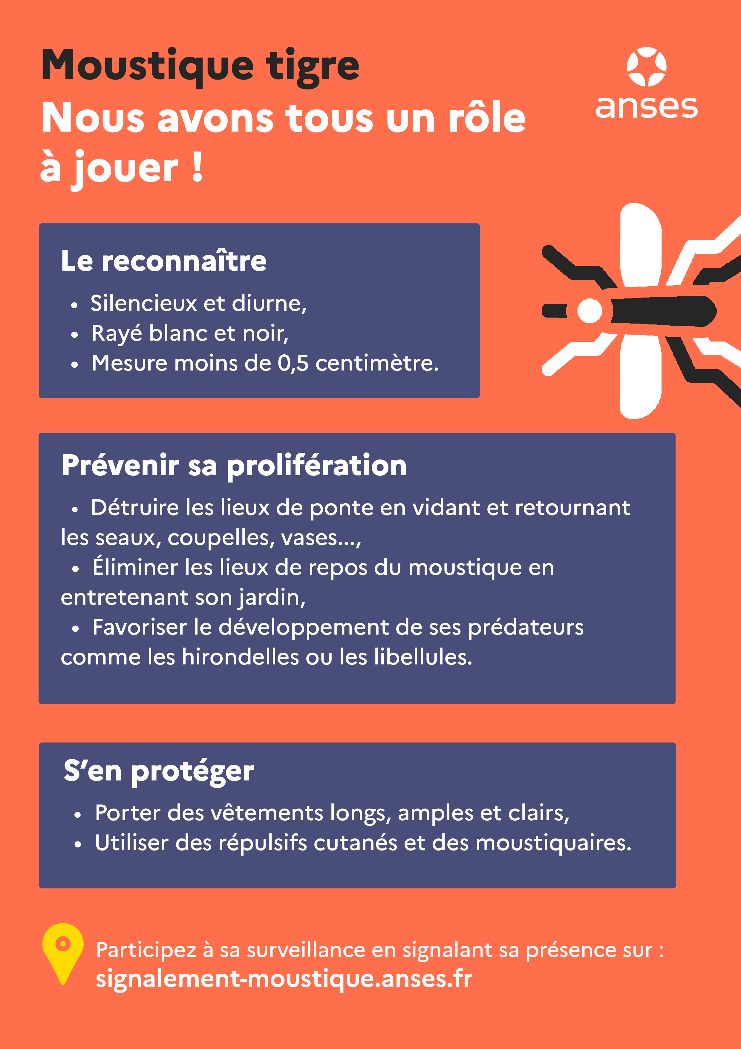 Infographie_moustique.png