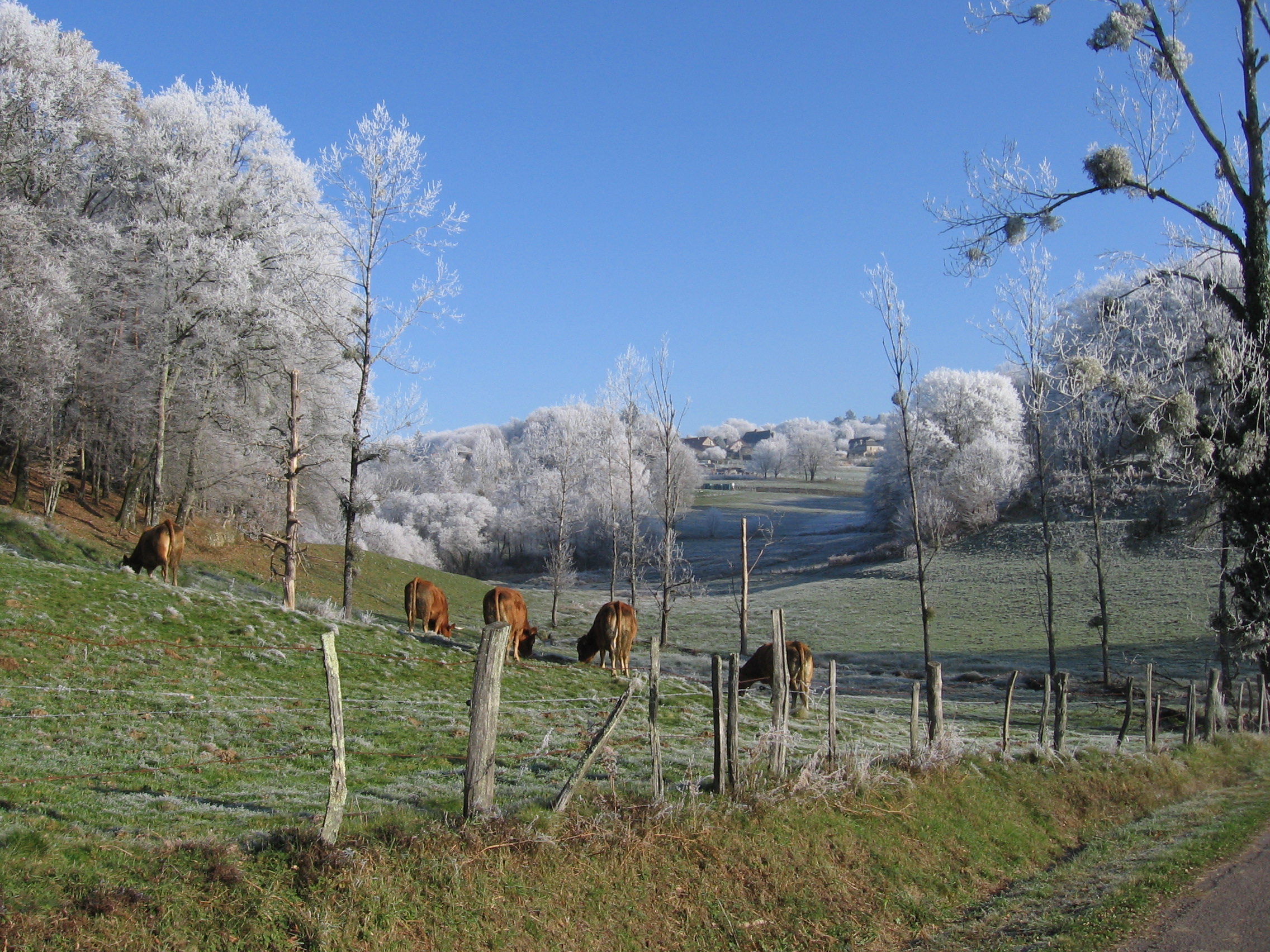 decembre 2006 050.jpg