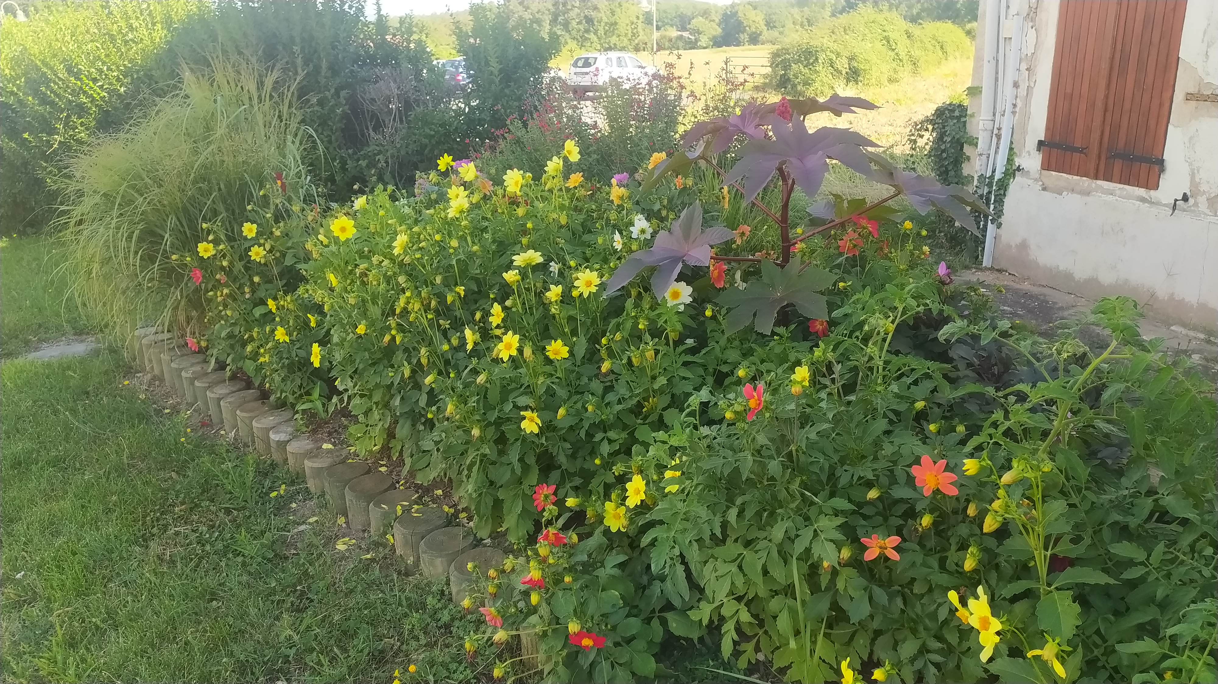 IMG_20230807_102509.jpg