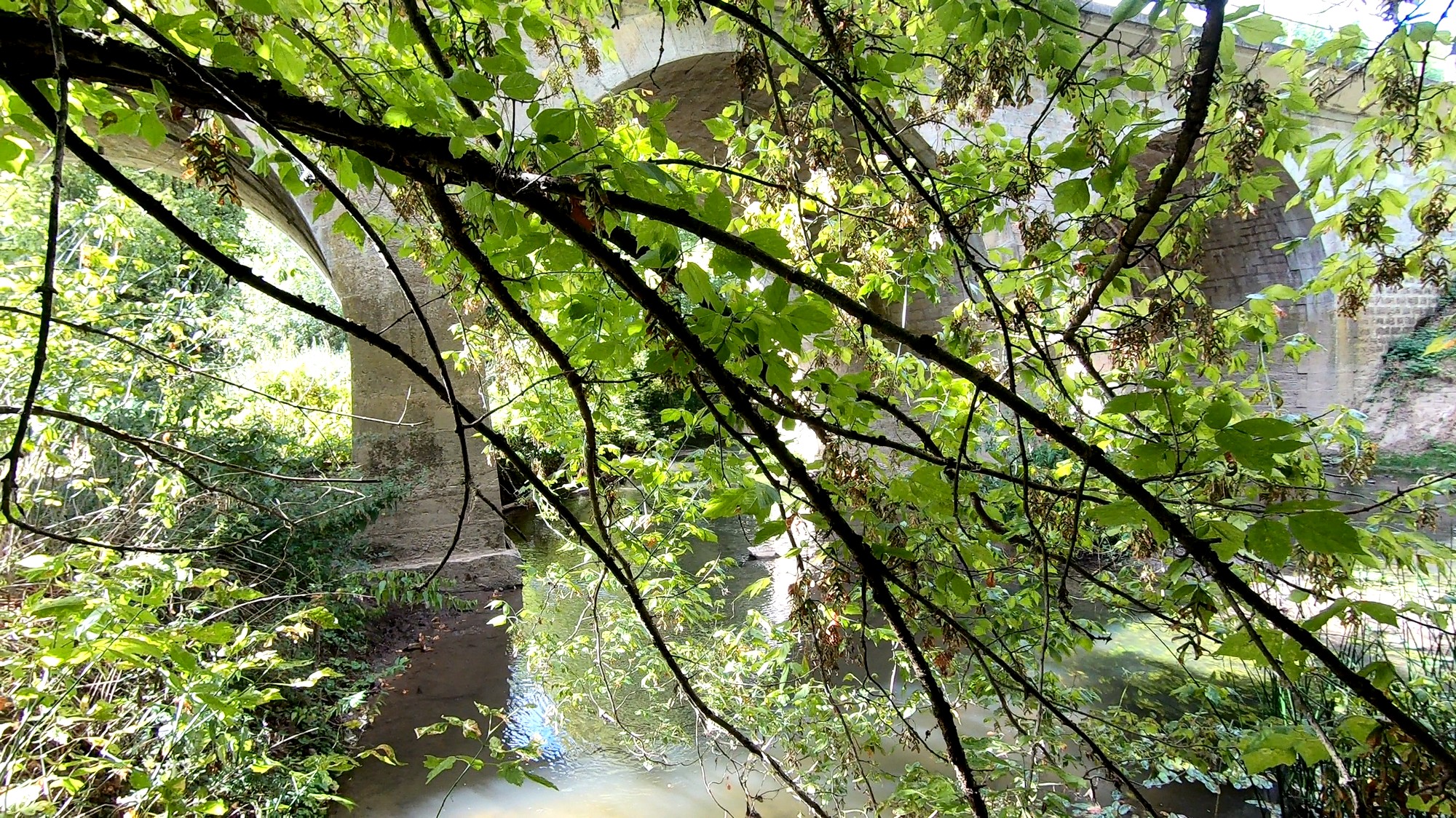 Viaduc des 3 arches video 2020 09 06 .jpg