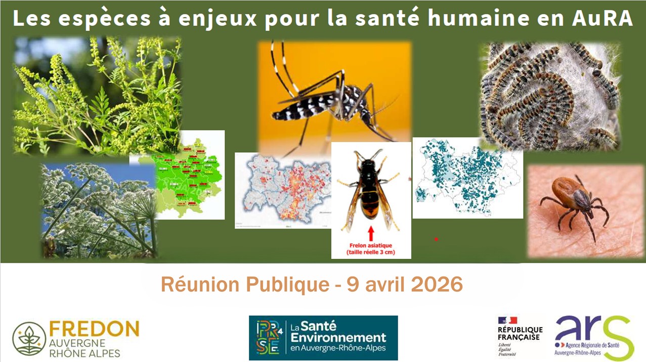 Photo introduction de la présentation.jpg