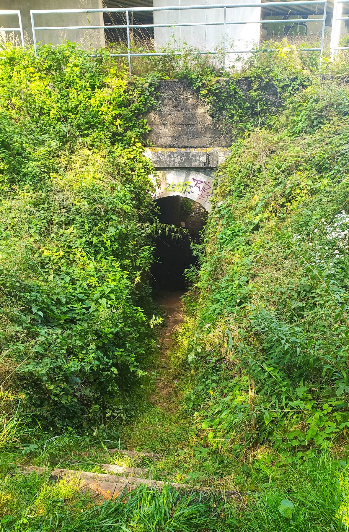Tunnel, Passage piéton de la Digue IMG_20210929_151101.jpg