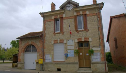 buisson.jpg