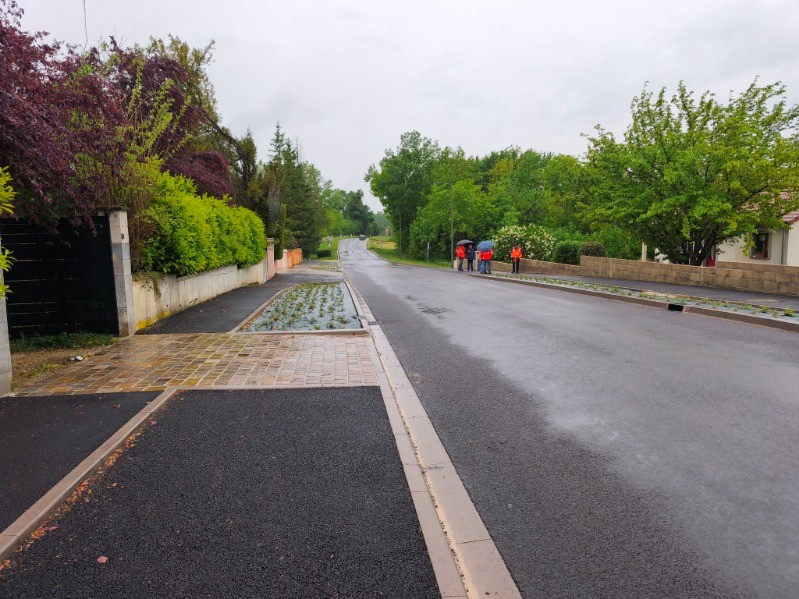 photo 3.jpg