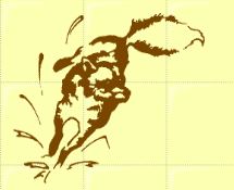 renard.JPG