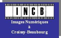 Logo INCB.jpg