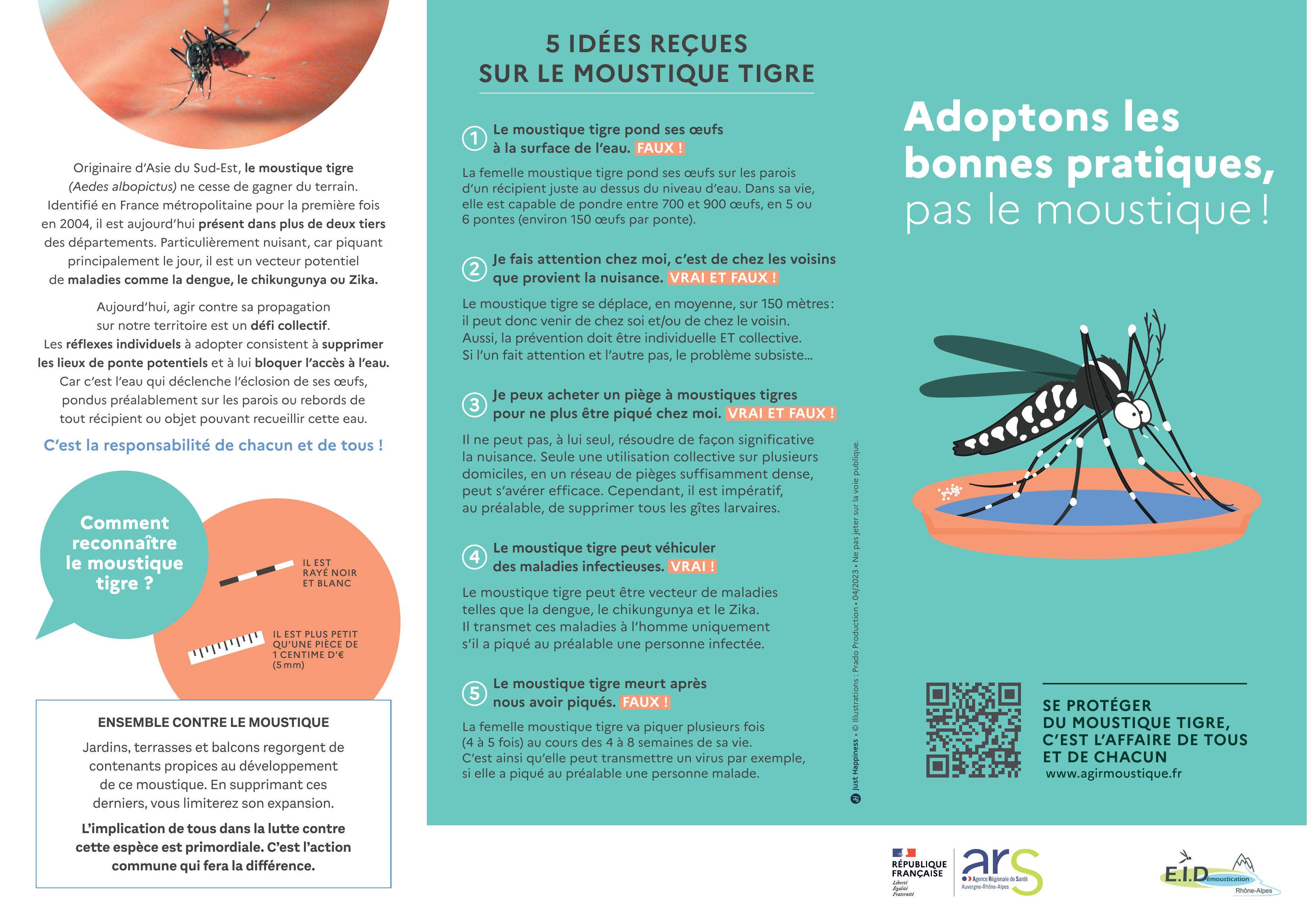 Moustique-tigre-1.jpg