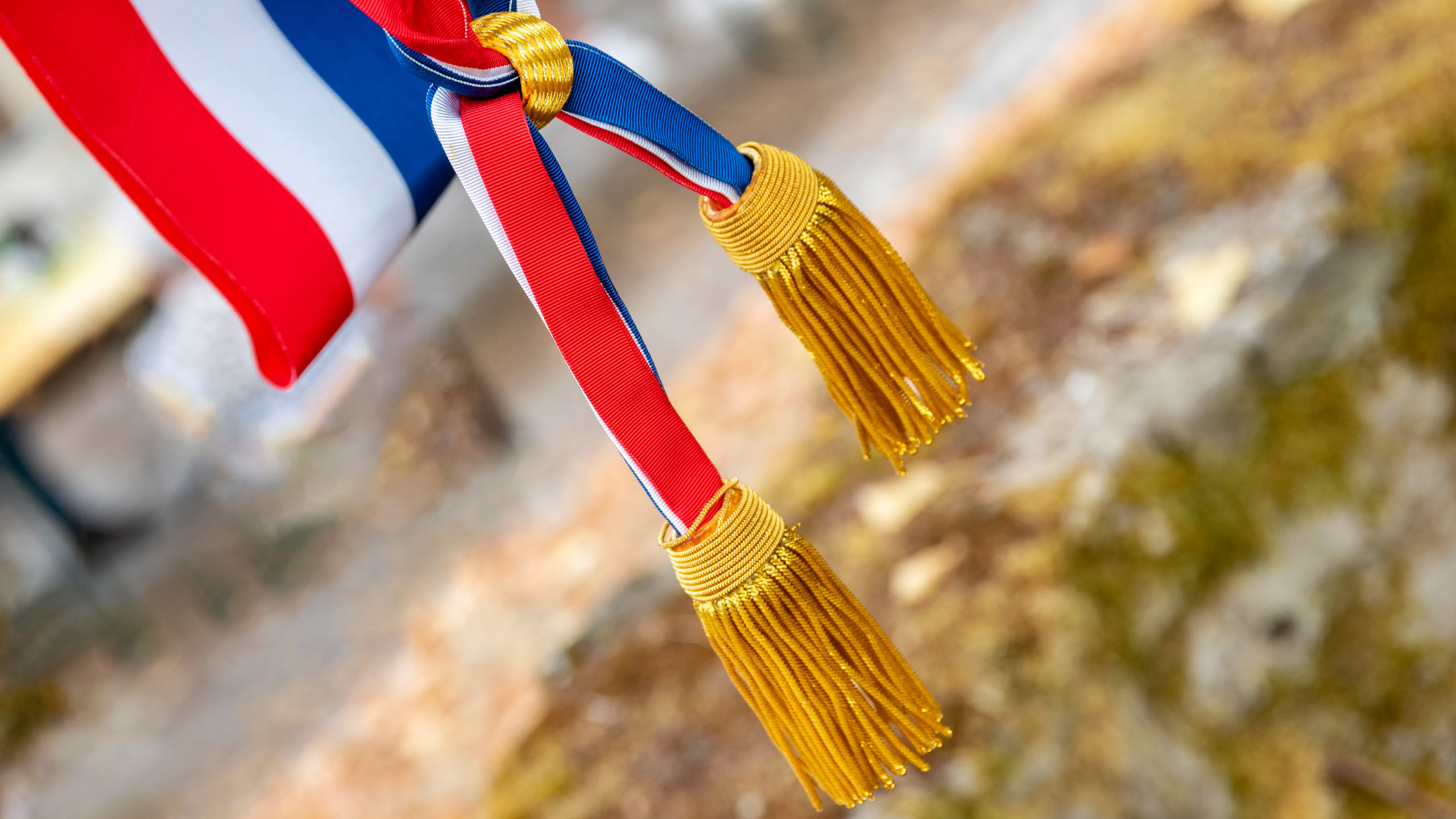 NOUVEAU TABLEAU DU CONSEIL MUNICIPAL