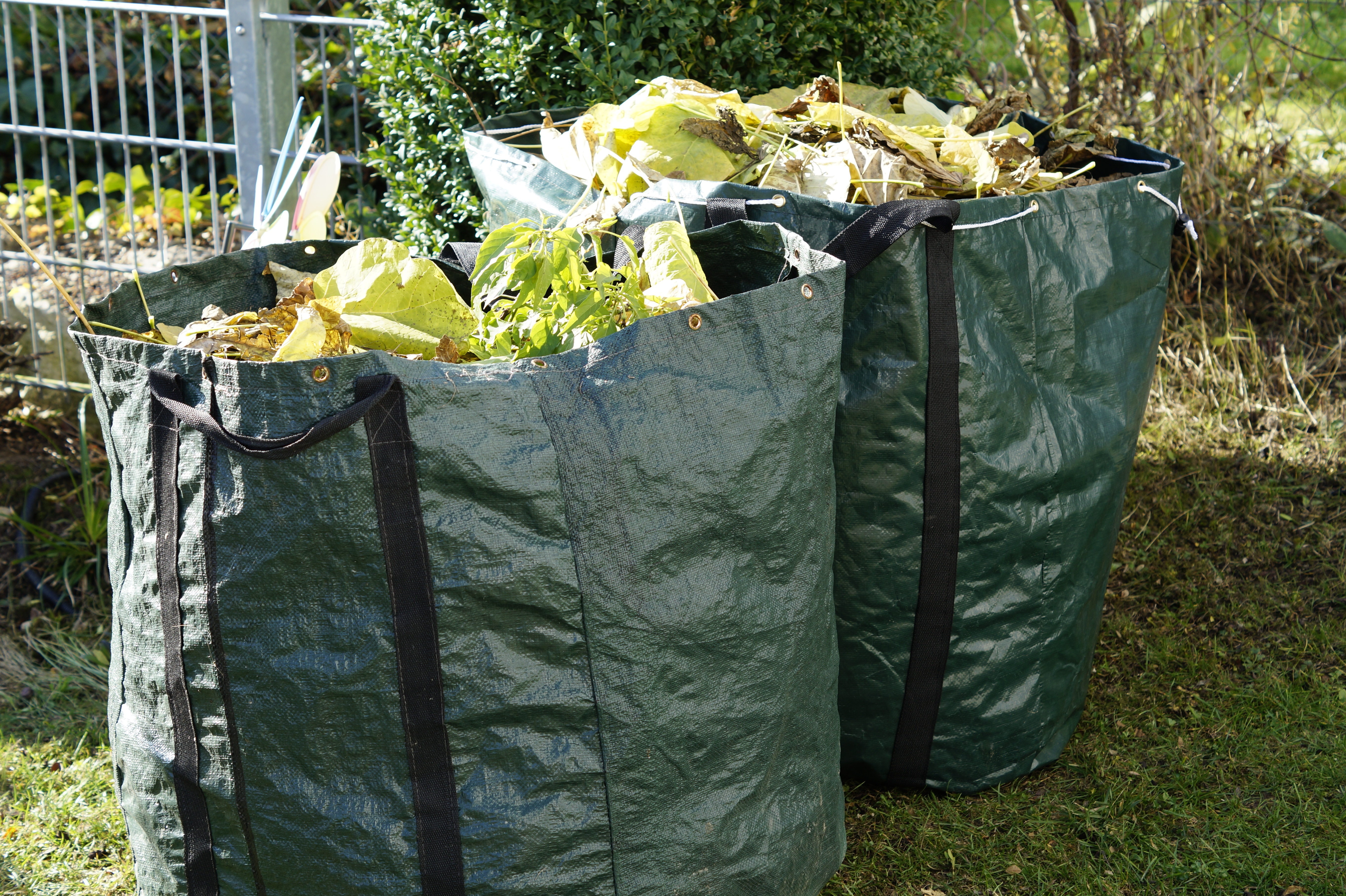Déchets verts.jpg