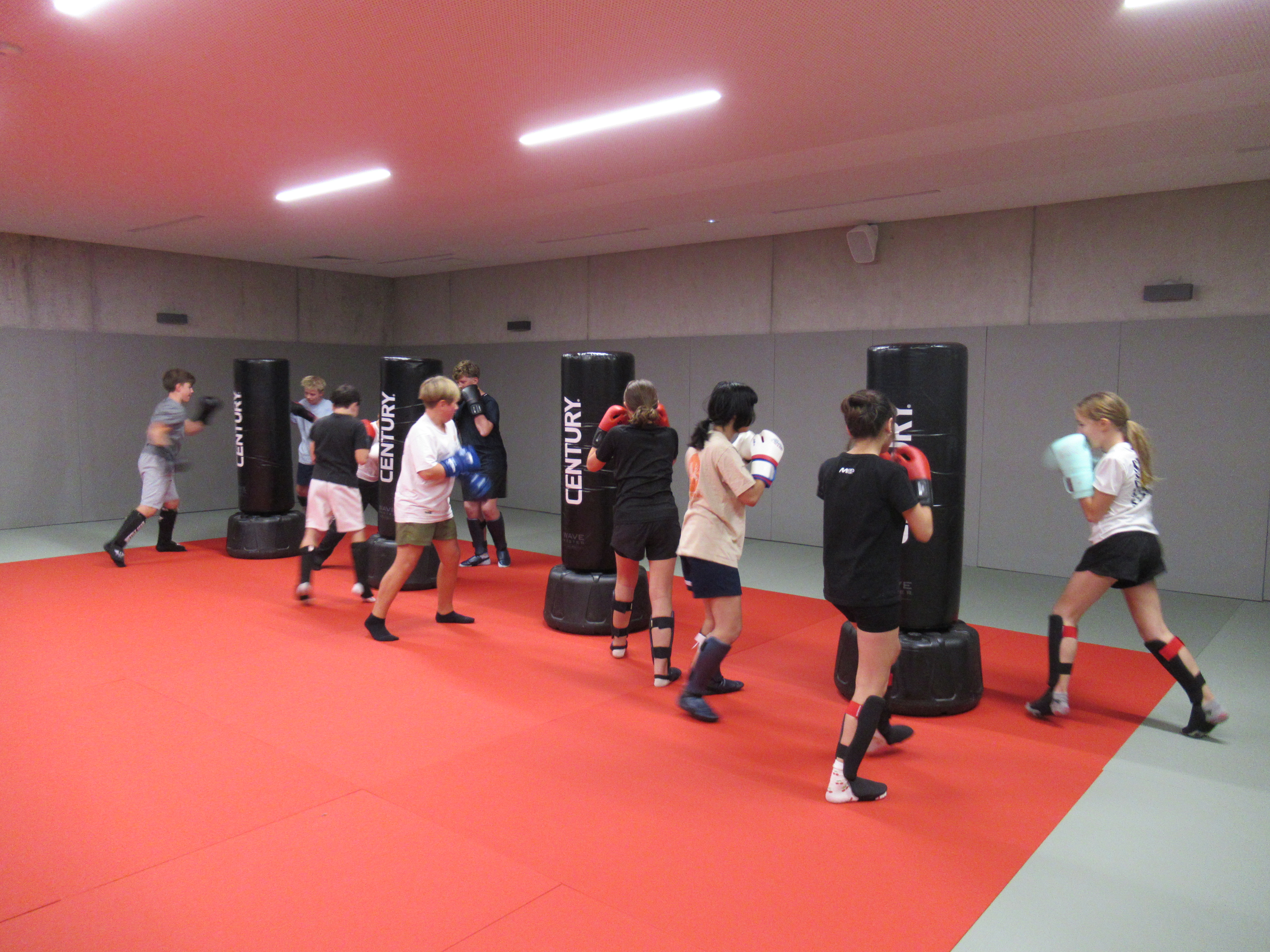 2025-11-20 Activité boxe enfant de l_Espace d_Animation du Laudon au dojo du gymnase.JPG