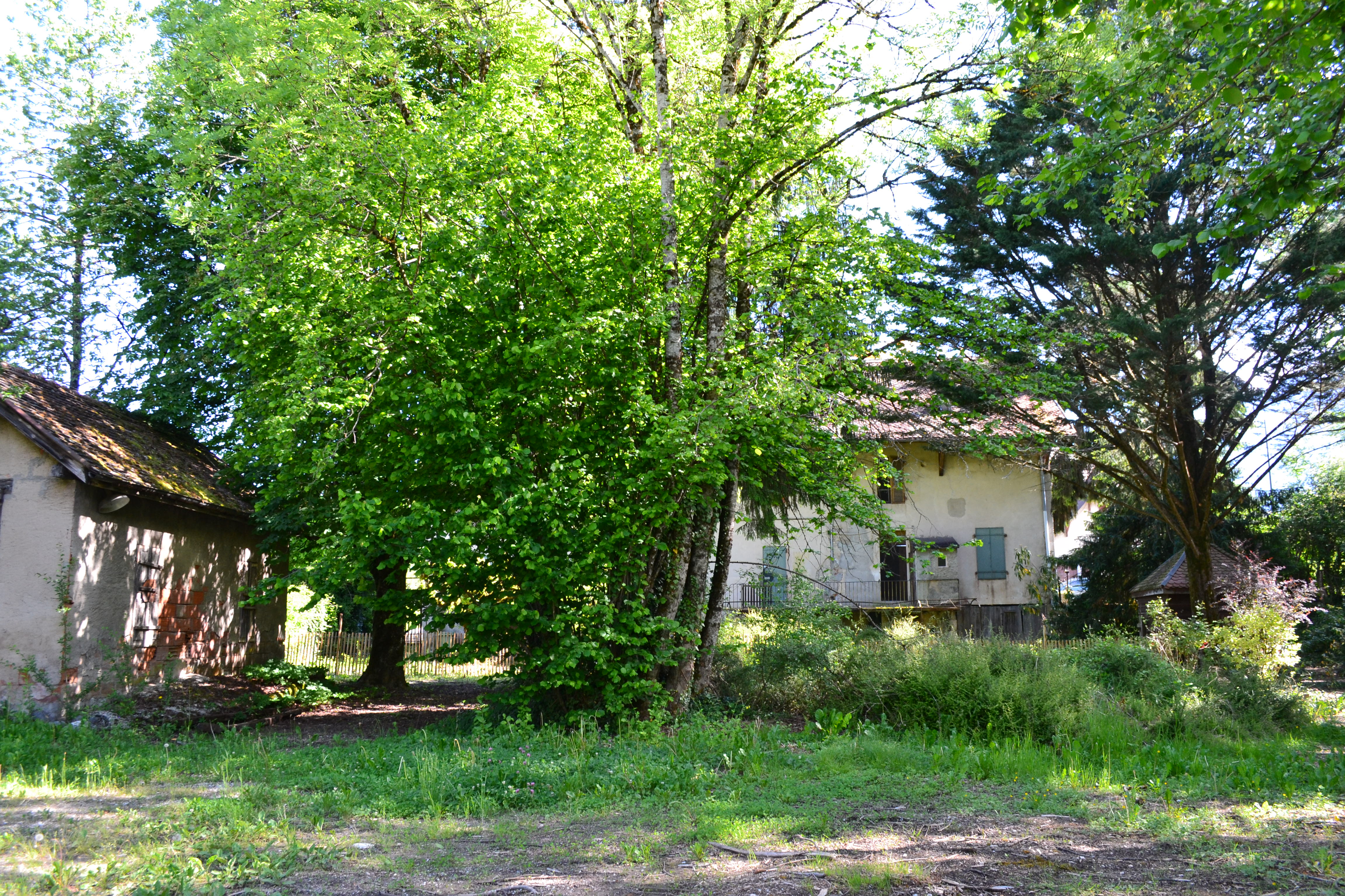 2026-05-13 Existant - Parc du Pont du Laudon _4_.JPG