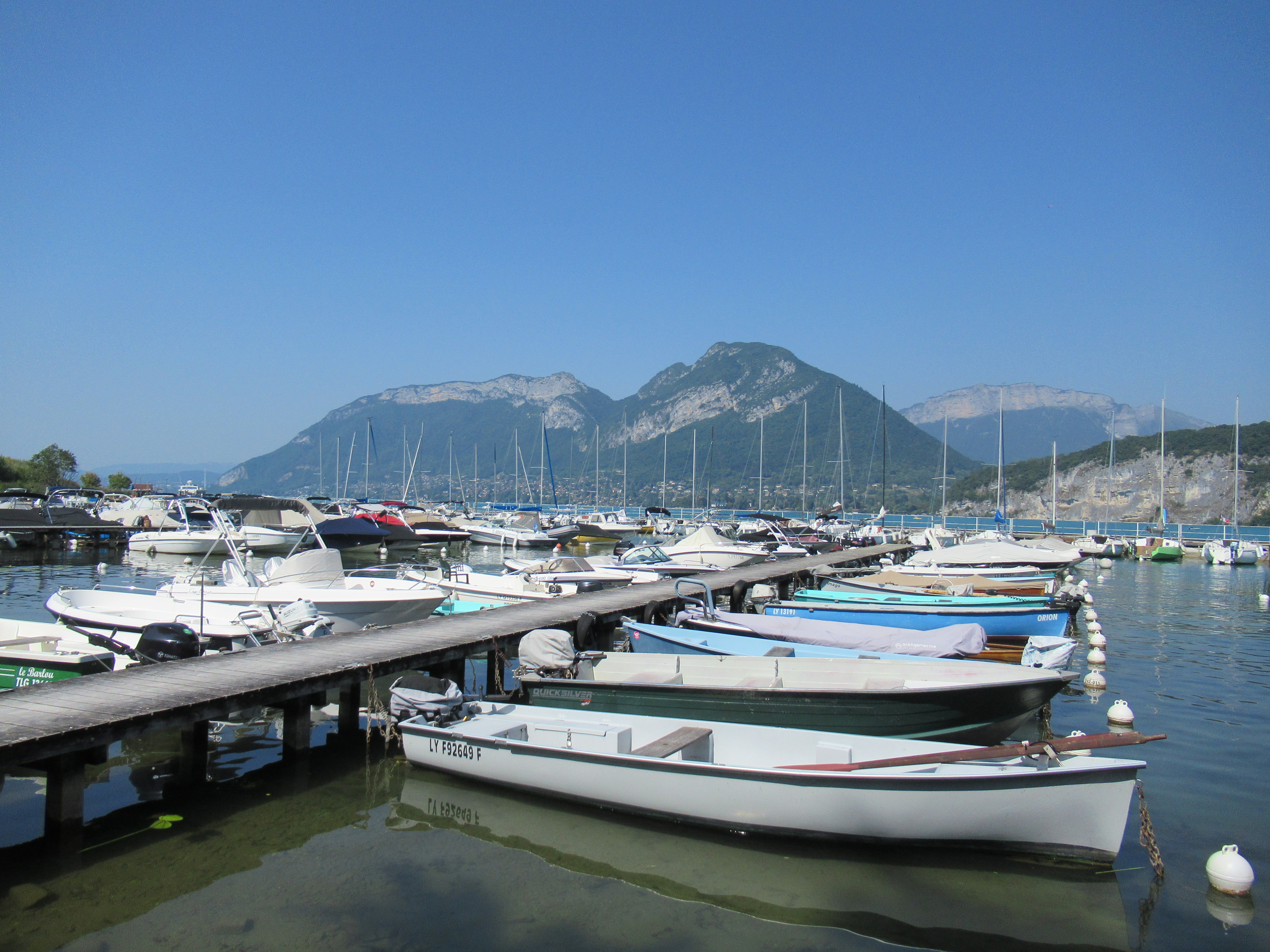 2025-08-11 Port - ILLUSTRATION _4_.JPG