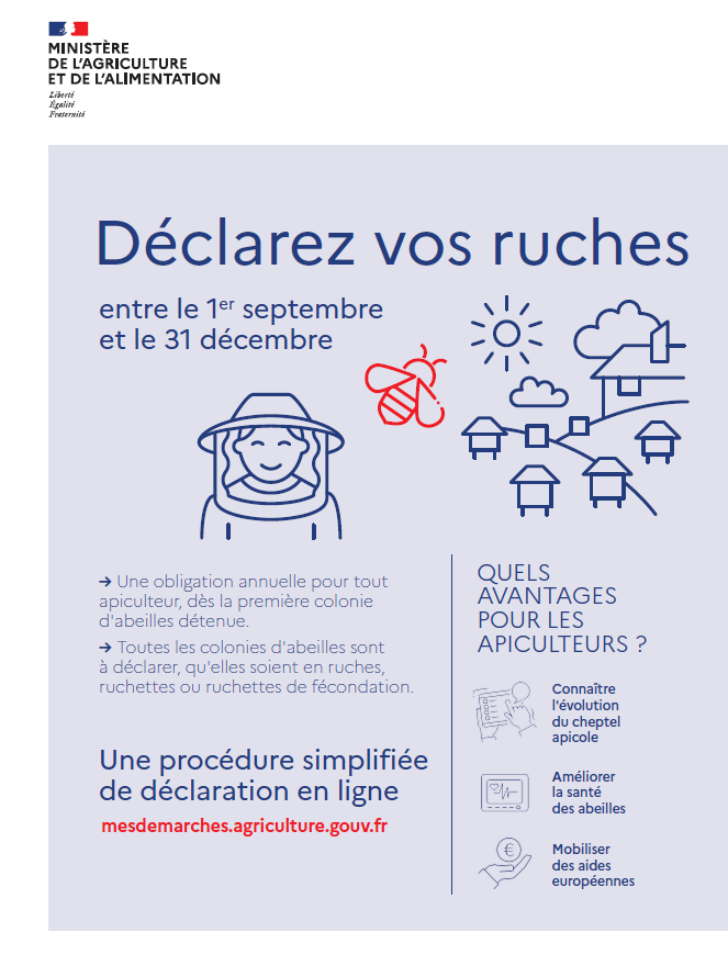 Déclaration ruches - 2025.png