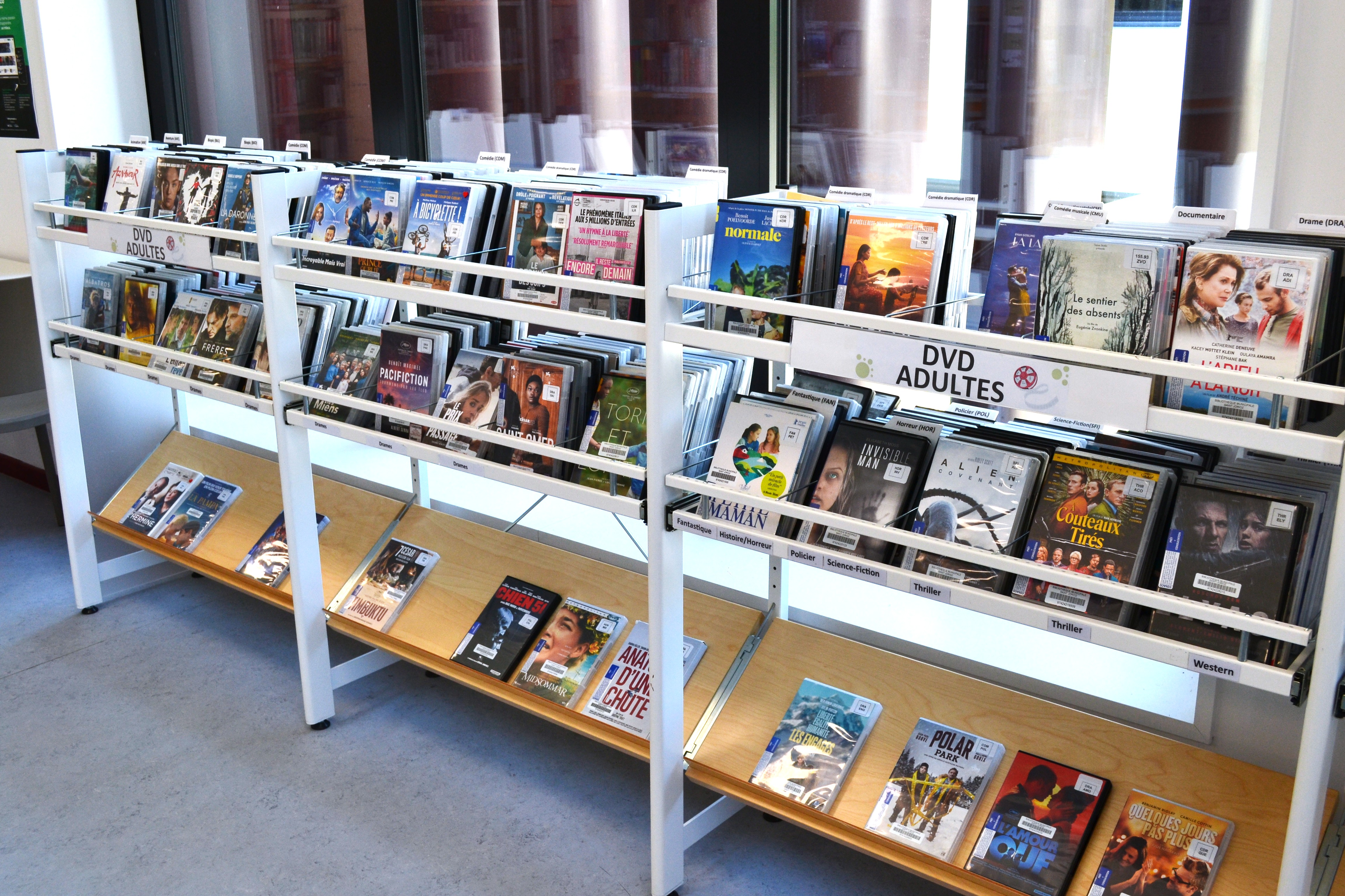 2026-07 Locaux Bibliothèque municipale - ILLUSTRATION _9_.JPG